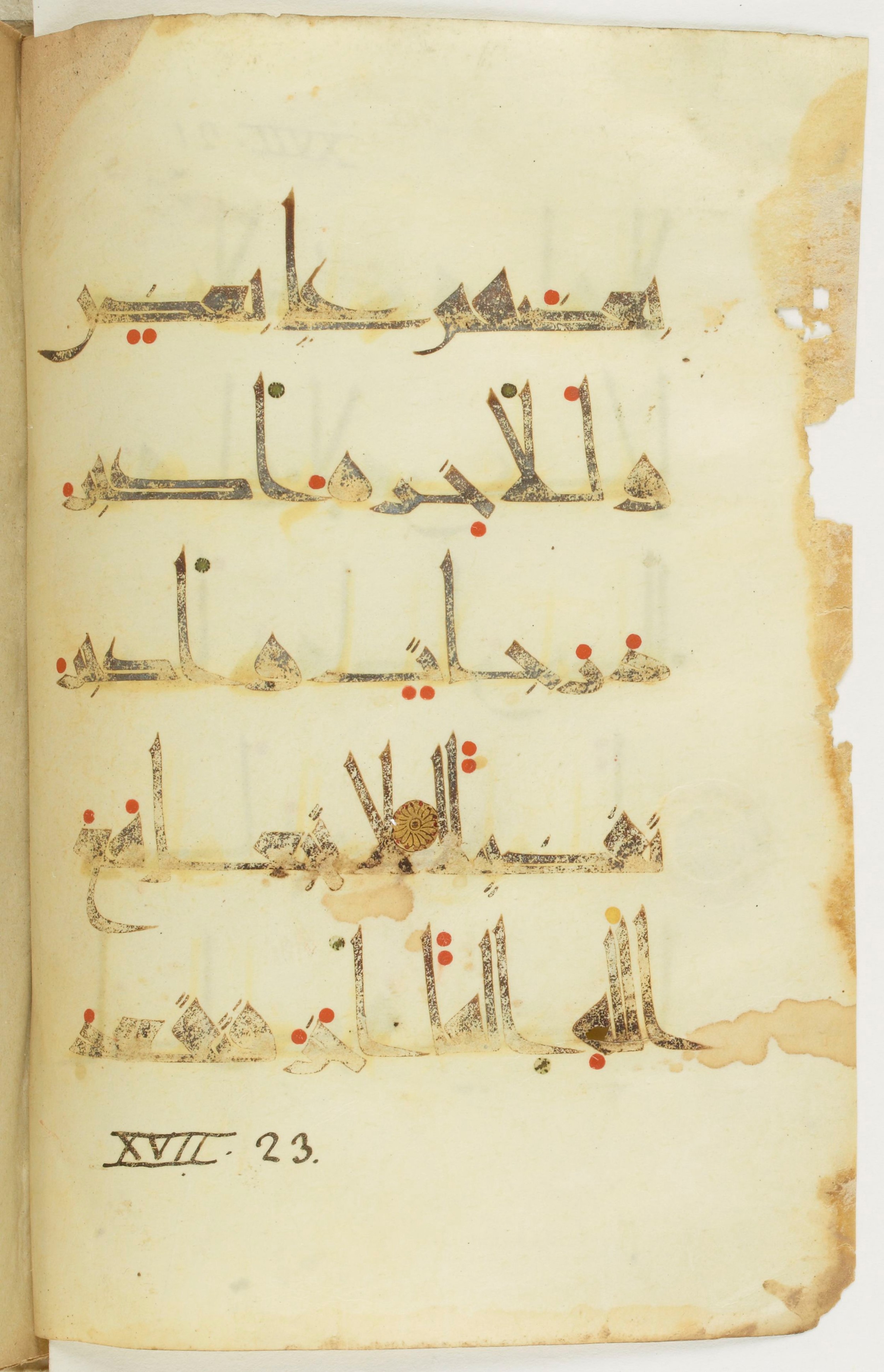 Bibliothèque nationale de France, Arabe 377 (a) (Scan 2), in New Style I (NS I) script, showing Surah 17:21 from Mid-9th to Late 10th Century AD found in Fustat (Old Cairo), Egypt, currently housed at Bibliothèque nationale de France, Paris