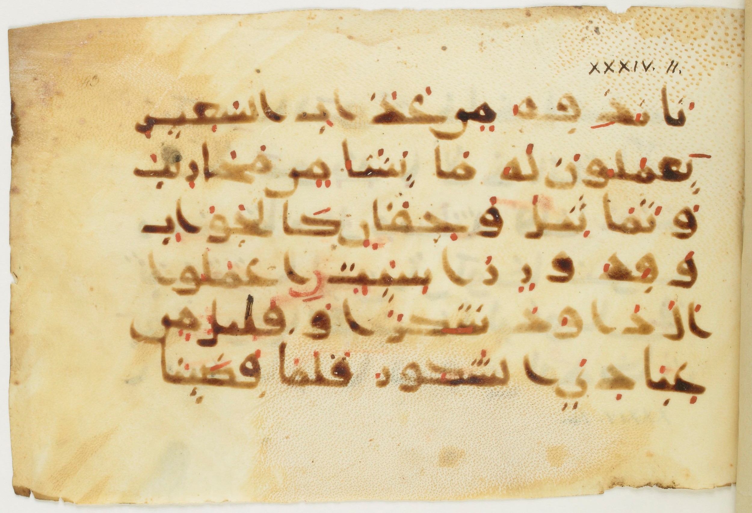 Paris, Bibliothèque nationale de France, Arabe 379 (d) (Scan 2), in Non-classified script, showing Surah 34:12 from 9th to 10th Century AD found in Fustat (Old Cairo), Egypt, currently housed at Bibliothèque nationale de France, Paris