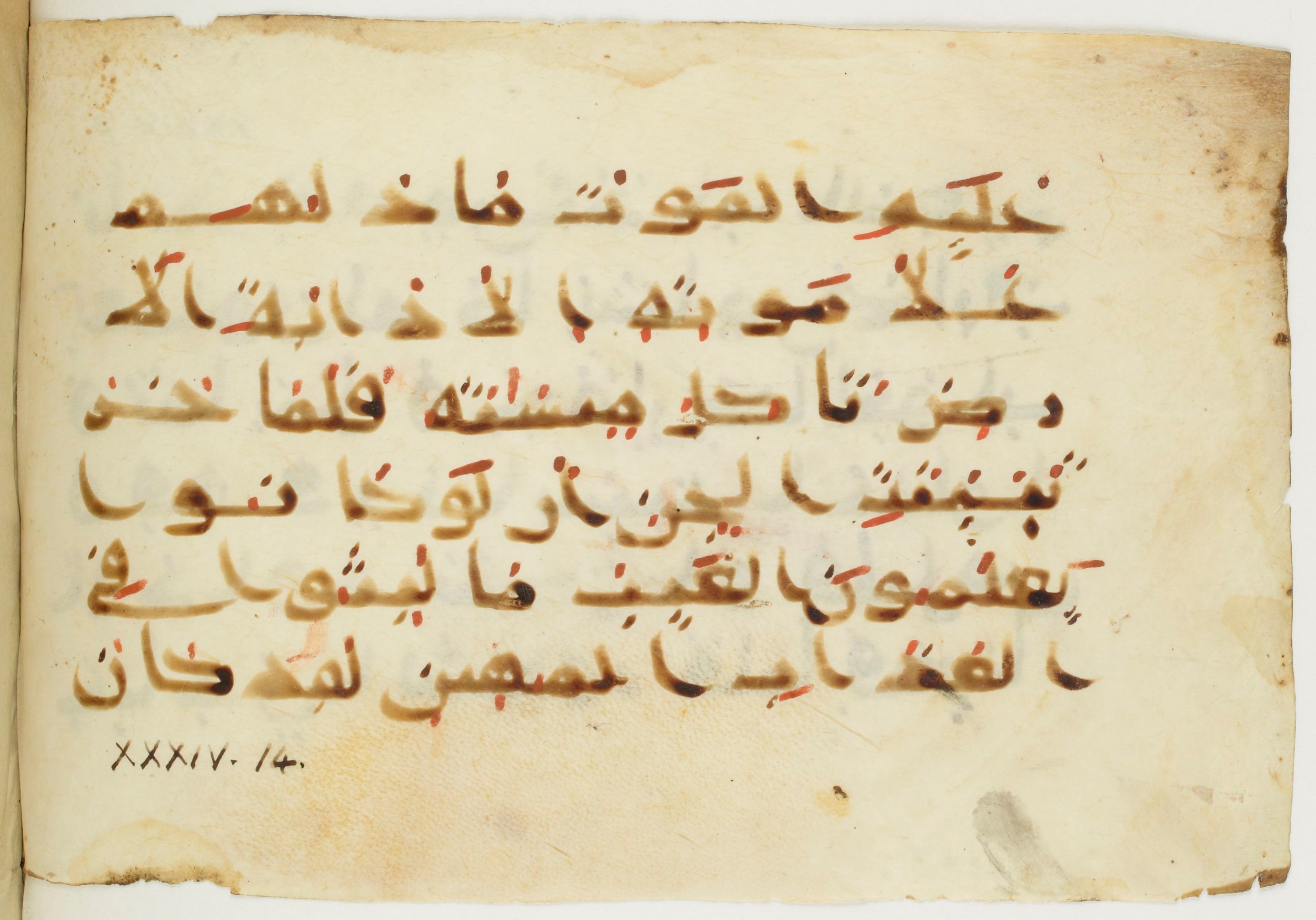 Paris, Bibliothèque nationale de France, Arabe 379 (d) (Scan 2), in Non-classified script, showing Surah 34:14 from 9th to 10th Century AD found in Fustat (Old Cairo), Egypt, currently housed at Bibliothèque nationale de France, Paris
