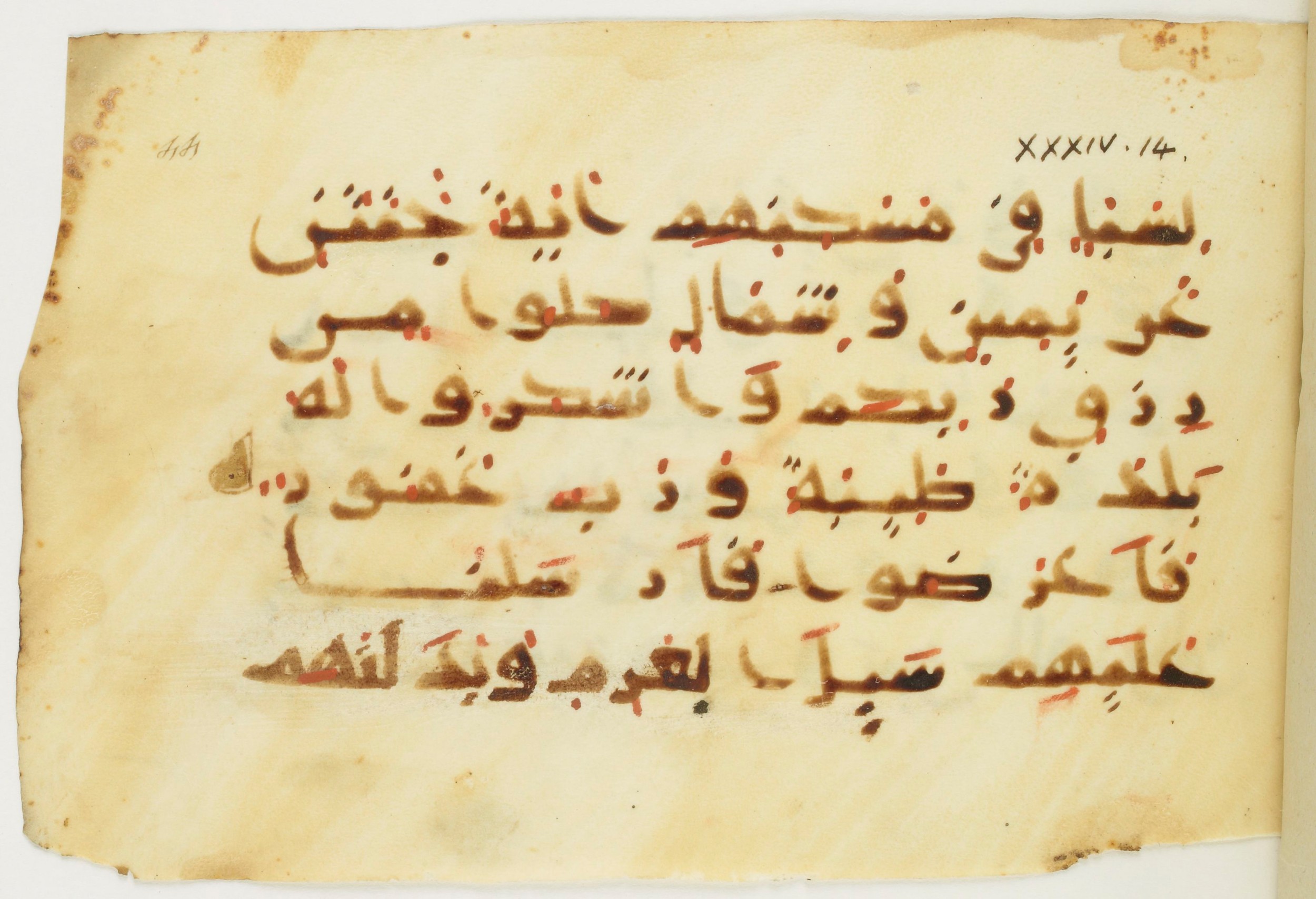 Paris, Bibliothèque nationale de France, Arabe 379 (d) (Scan 1), in Non-classified script, showing Surah 34:16 from 9th to 10th Century AD found in Fustat (Old Cairo), Egypt, currently housed at Bibliothèque nationale de France, Paris