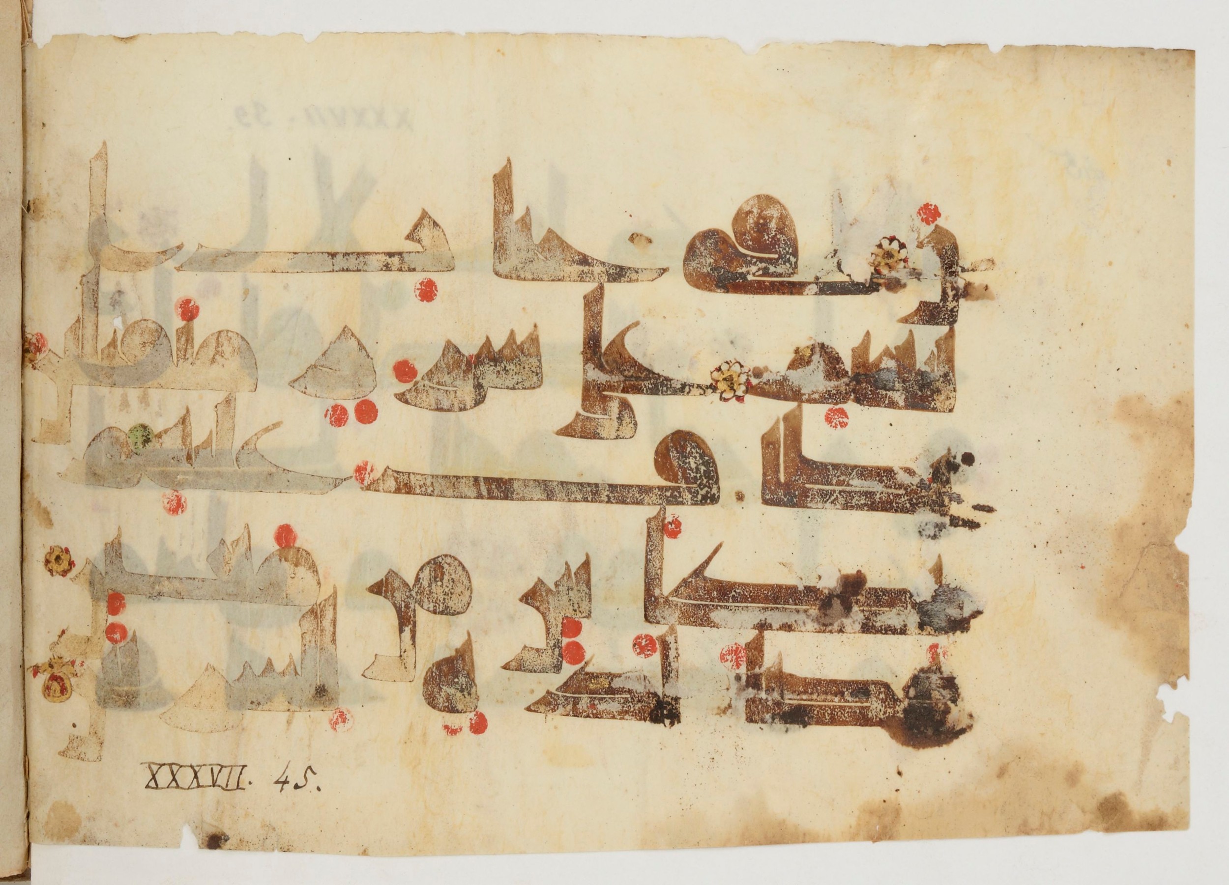 Paris, Bibliothèque nationale de France, Arabe 380 (c), in Kūfī D.I script, showing Surah 37:44 from 8th to 9th Century AD found in Fustat (Old Cairo), Egypt, currently housed at Bibliothèque nationale de France, Paris