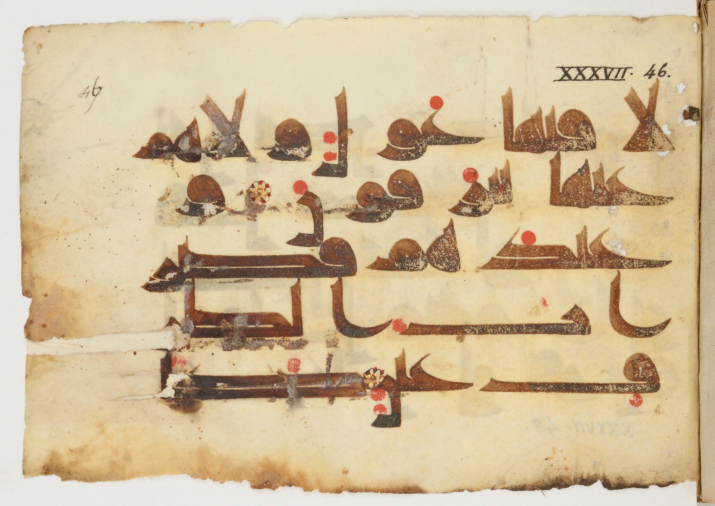 Paris, Bibliothèque nationale de France, Arabe 380 (c) (Scan 1), in Kūfī D.I script, showing Surah 37:49 from 8th to 9th Century AD found in Fustat (Old Cairo), Egypt, currently housed at Bibliothèque nationale de France, Paris