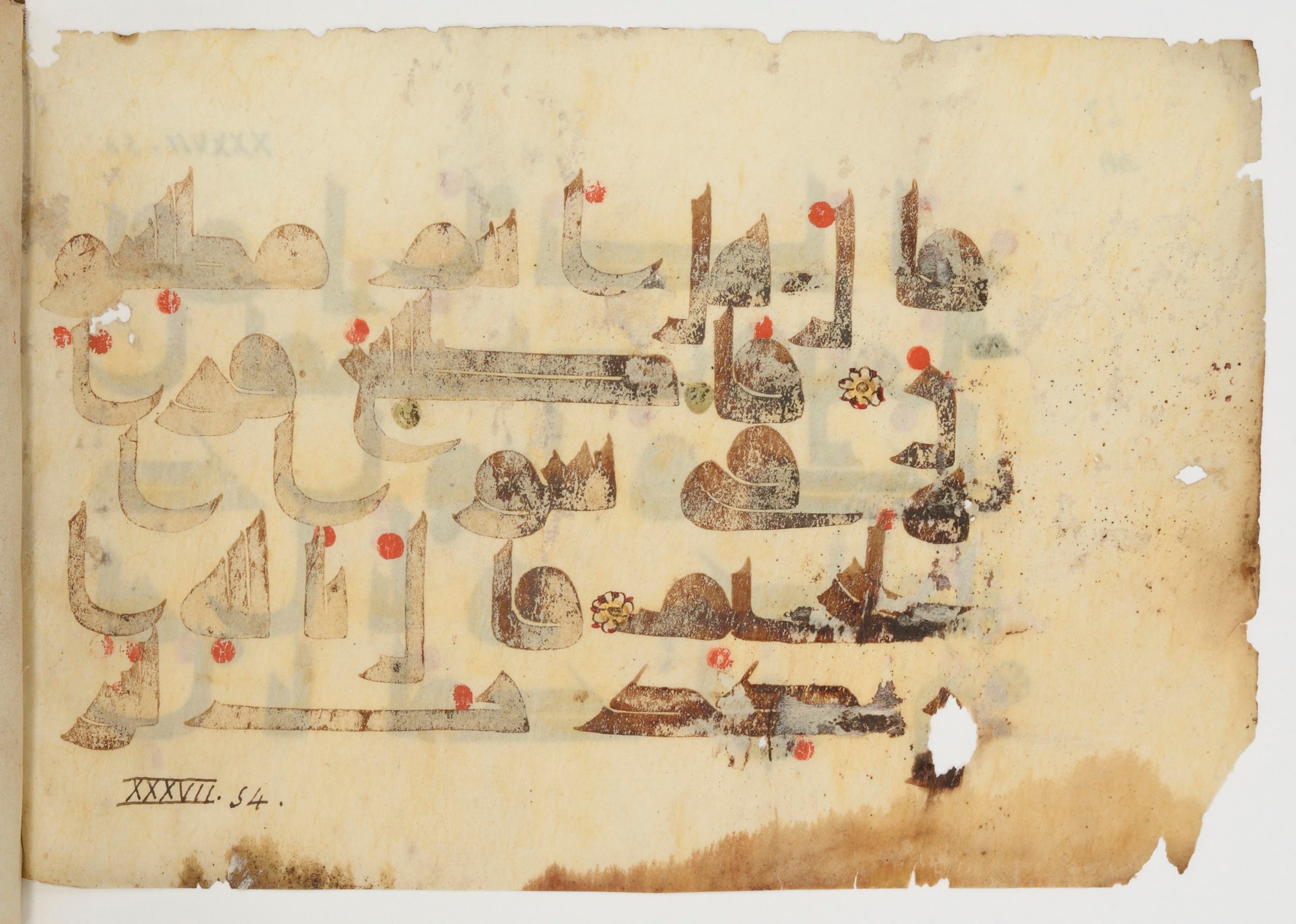 Paris, Bibliothèque nationale de France, Arabe 380 (c), in Kūfī D.I script, showing Surah 37:56 from 8th to 9th Century AD found in Fustat (Old Cairo), Egypt, currently housed at Bibliothèque nationale de France, Paris