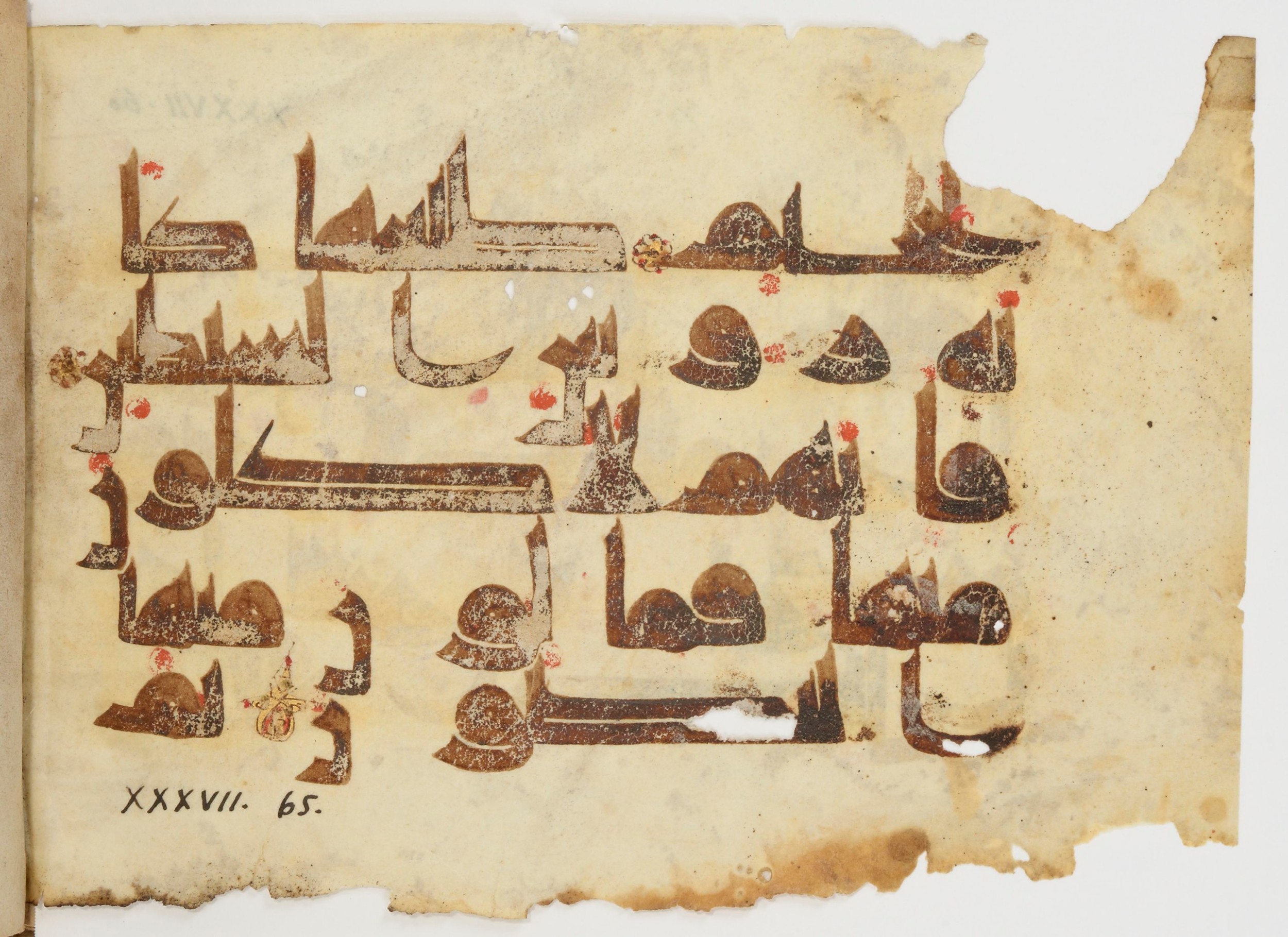 Paris, Bibliothèque nationale de France, Arabe 380 (c), in Kūfī D.I script, showing Surah 37:65 from 8th to 9th Century AD found in Fustat (Old Cairo), Egypt, currently housed at Bibliothèque nationale de France, Paris