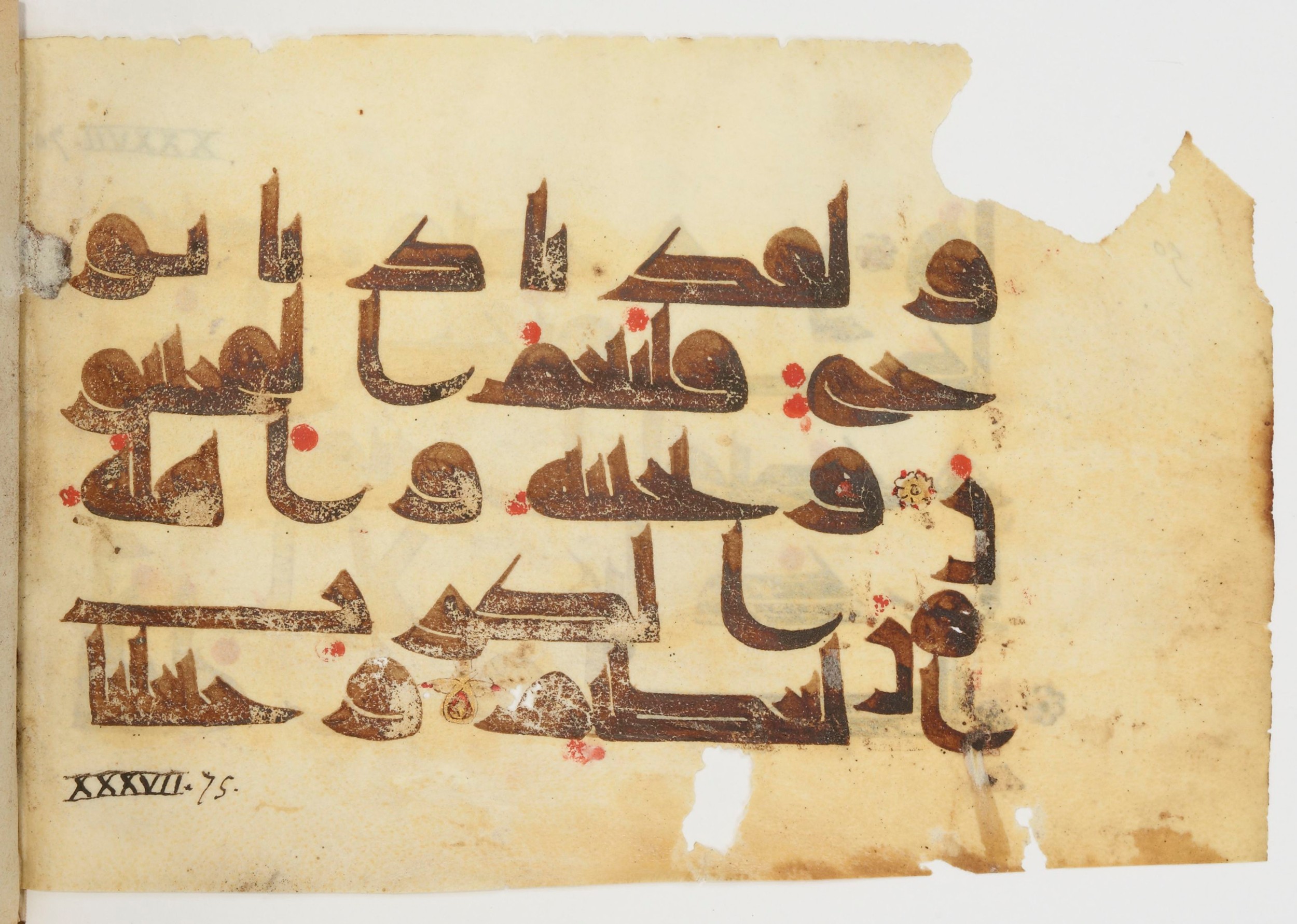 Paris, Bibliothèque nationale de France, Arabe 380 (c), in Kūfī D.I script, showing Surah 37:76 from 8th to 9th Century AD found in Fustat (Old Cairo), Egypt, currently housed at Bibliothèque nationale de France, Paris