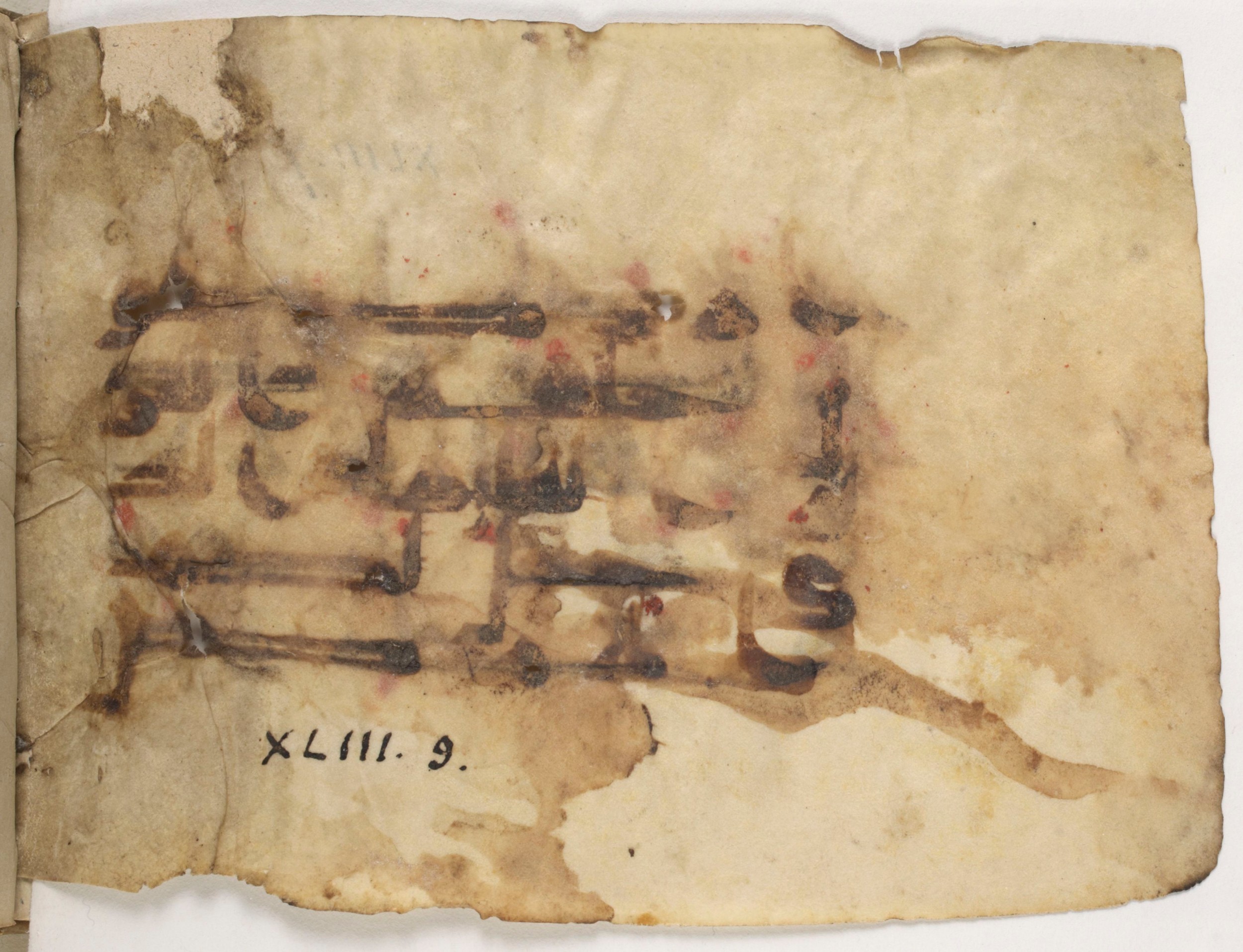 Paris, Bibliothèque nationale de France, Arabe 381 (b) (Scan 2), in Kūfī D.III script, showing Surah 43:9 from Mid 8th to Late 9th Century AD found in al-Fusṭāṭ, Egypt, currently housed at Bibliothèque nationale de France, Paris