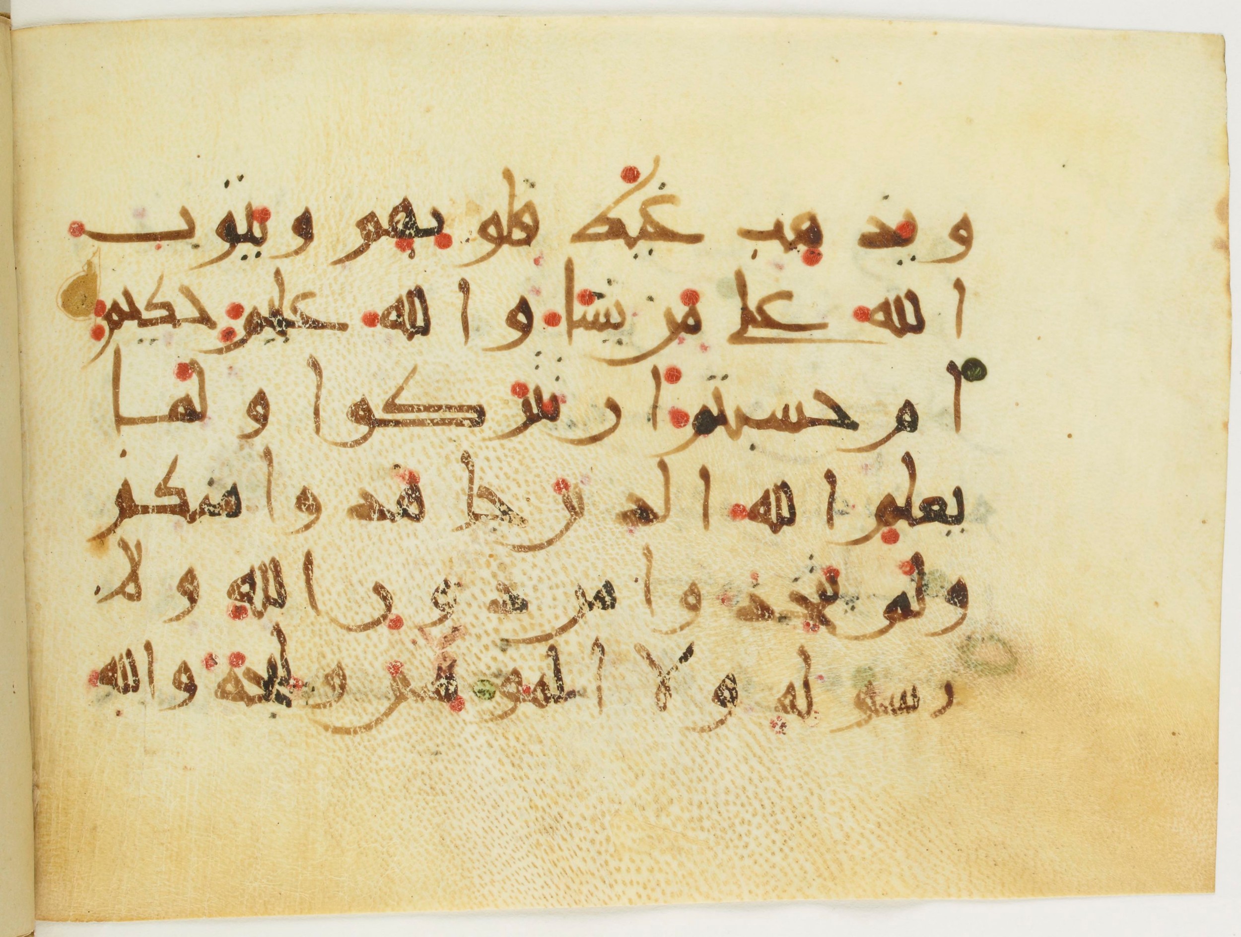 Paris, Bibliothèque nationale de France, Arabe 382 (c) (Scan 1), in New Style III script, showing Surah 9:16 from Mid 9th to Late 10th Century AD found in Fustat (Old Cairo), Egypt, currently housed at Bibliothèque nationale de France, Paris