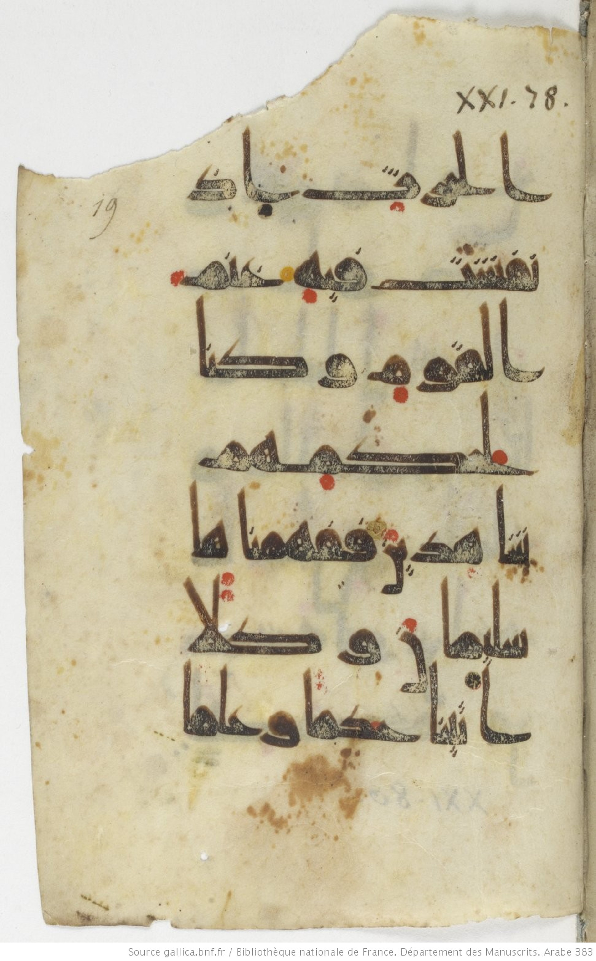 Paris, Bibliothèque nationale de France, Arabe 383 (b) (Scan 1), in kūfī D.Va script, showing Surah 21:79 from Mid 8th to Late 10th Century AD found in Fustat (Old Cairo), Egypt, currently housed at Bibliothèque nationale de France, Paris
