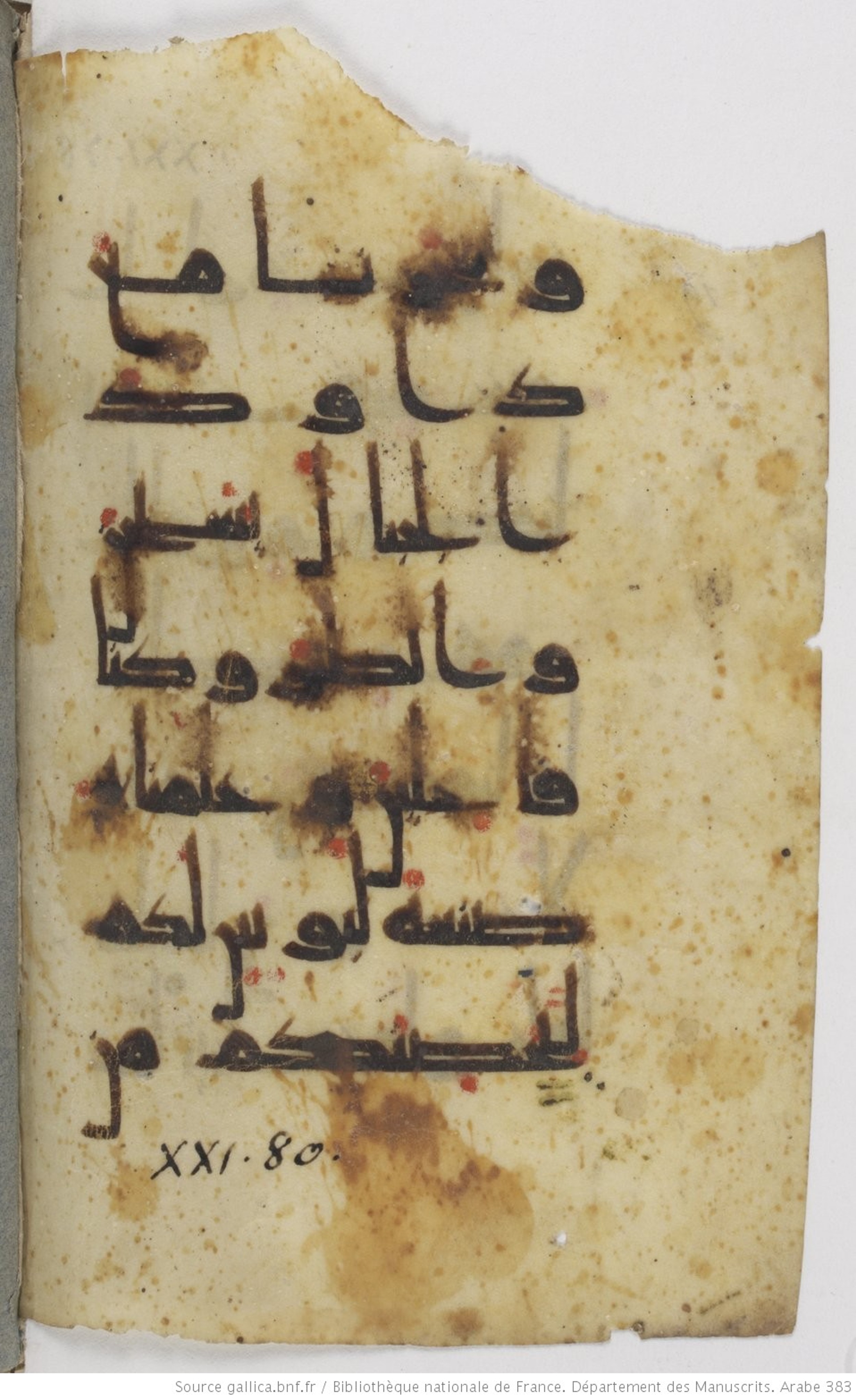 Paris, Bibliothèque nationale de France, Arabe 383 (b) (Scan 2), in kūfī D.Va script, showing Surah 21:79 from Mid 8th to Late 10th Century AD found in Fustat (Old Cairo), Egypt, currently housed at Bibliothèque nationale de France, Paris