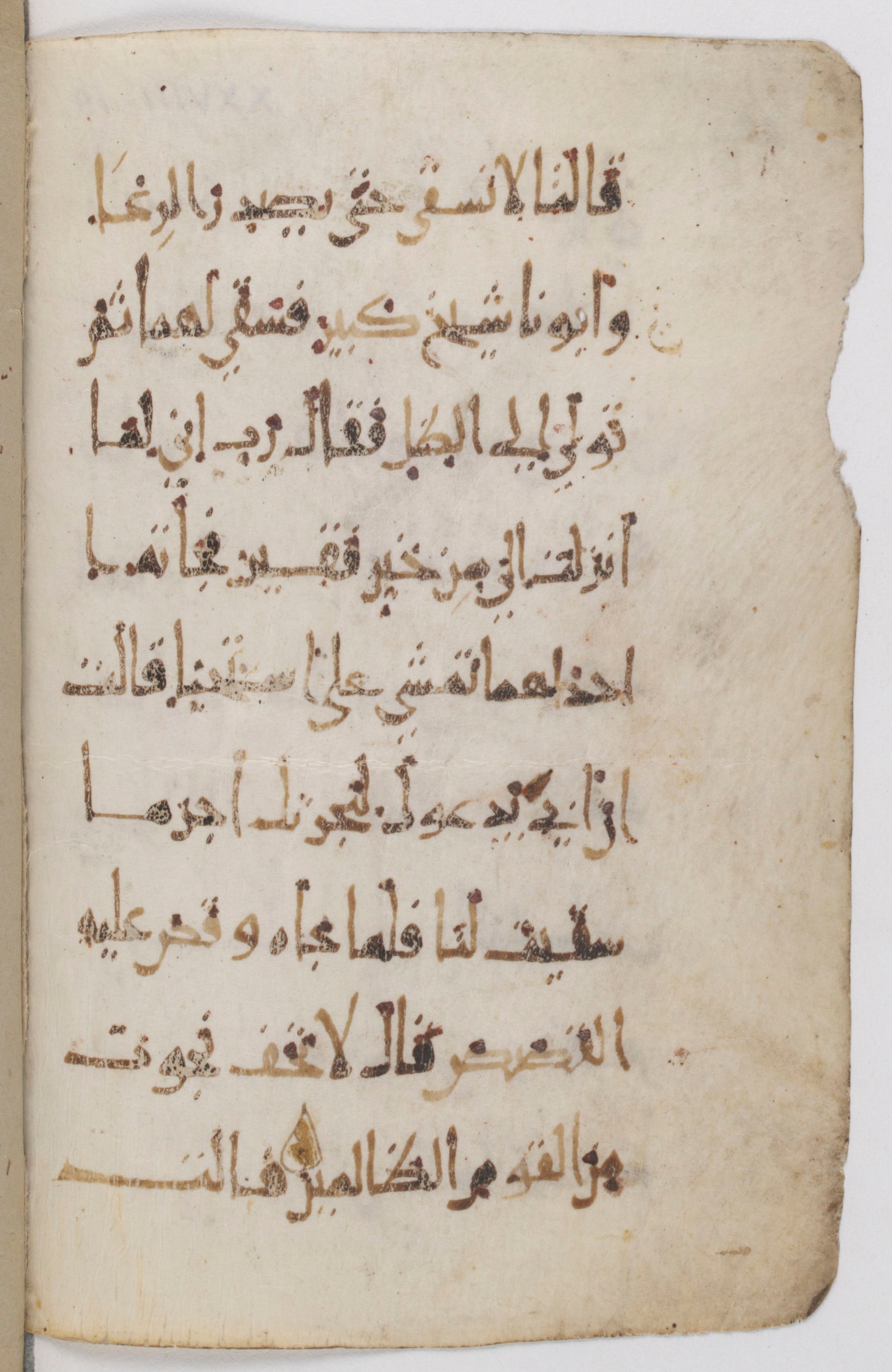 Paris, Bibliothèque nationale de France, Arabe 383 (d) (Scan 2), in New Style II (NS II) script, showing Surah 28:23 from 10th to 11th Century AD found in Fustat (Old Cairo), Egypt, currently housed at Bibliothèque nationale de France, Paris