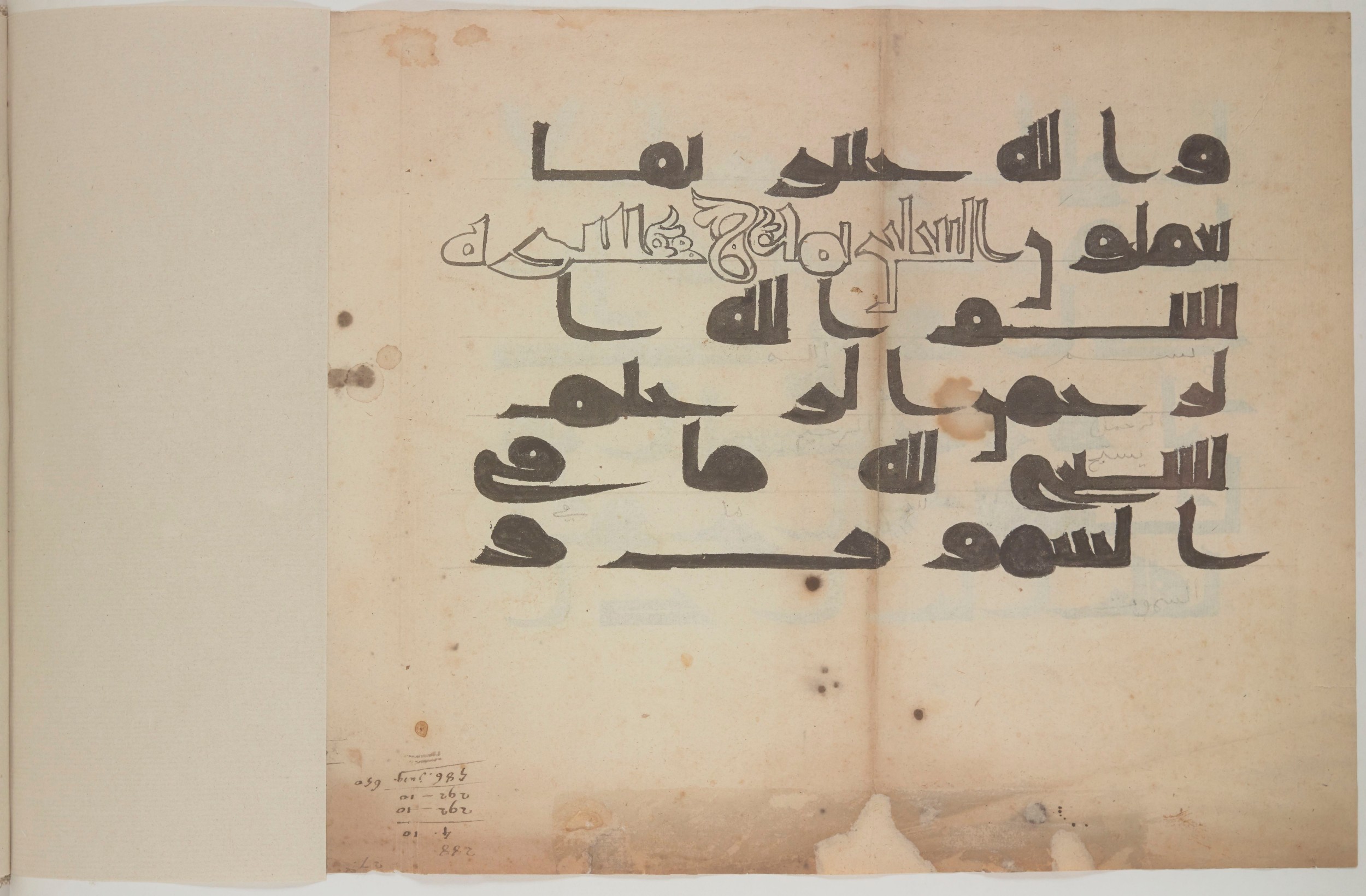 Paris, Bibliothèque nationale de France, Arabe 580 (b), in Cursive script, showing Surah 64:1 from Late 18th to Mid-19th Century AD found in Unknown, currently housed at Bibliothèque nationale de France, Paris