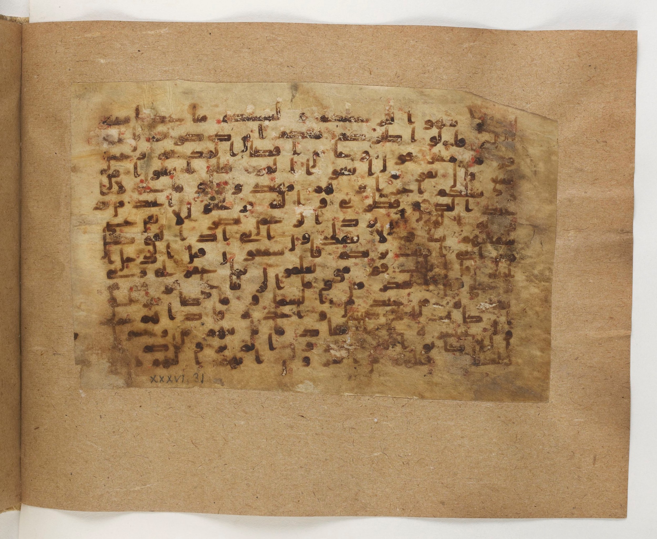 Paris, Bibliothèque nationale de France, Arabe 5103 (b), in Kufic B.II script, showing Surah 36:32 from Mid 8th to Late 9th Century AD found in Fustat (Old Cairo), Egypt, currently housed at Bibliothèque nationale de France, Paris