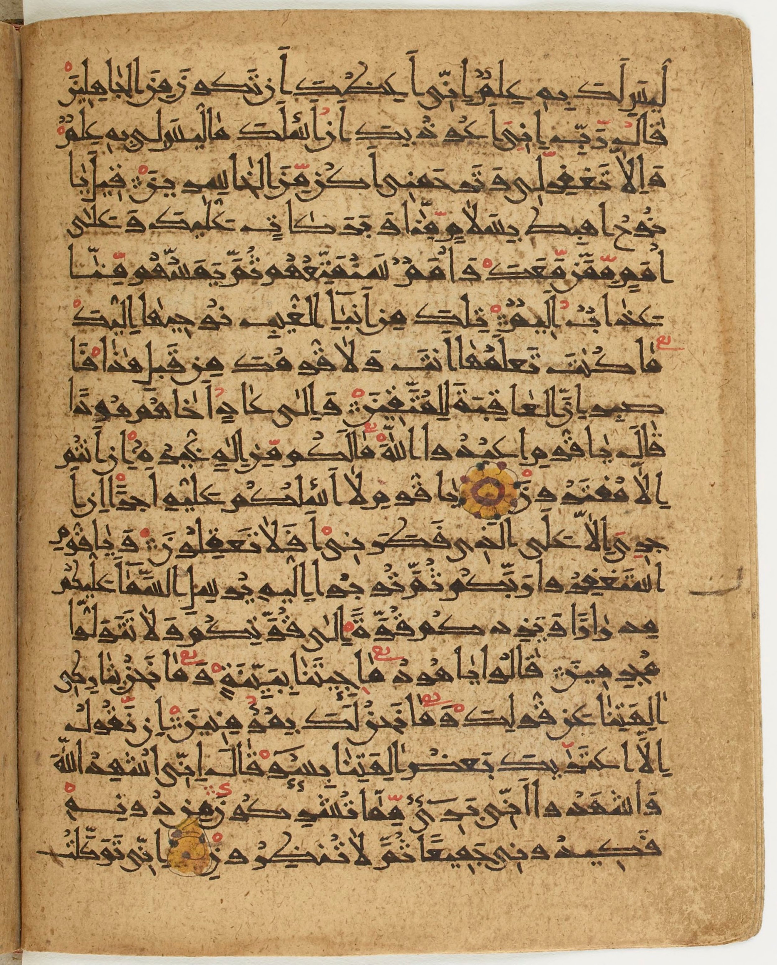 BNF Arabe 6430, in Naskh (NS 1) script, showing Surah 11:49 from 10th Century AD found in Unknown, currently housed at Bibliothèque nationale de France, Paris