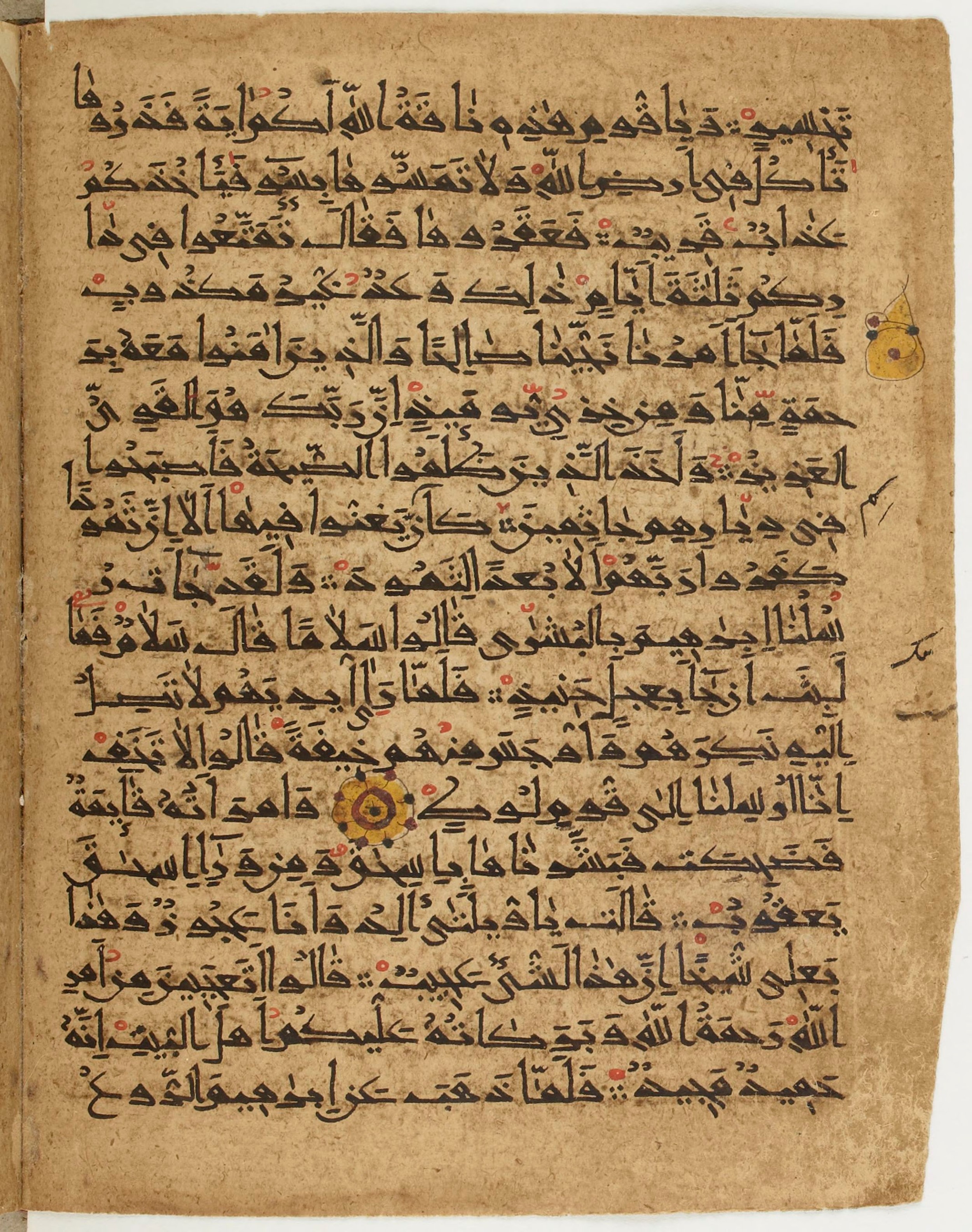 BNF Arabe 6430, in Naskh (NS 1) script, showing Surah 11:72 from 10th Century AD found in Unknown, currently housed at Bibliothèque nationale de France, Paris