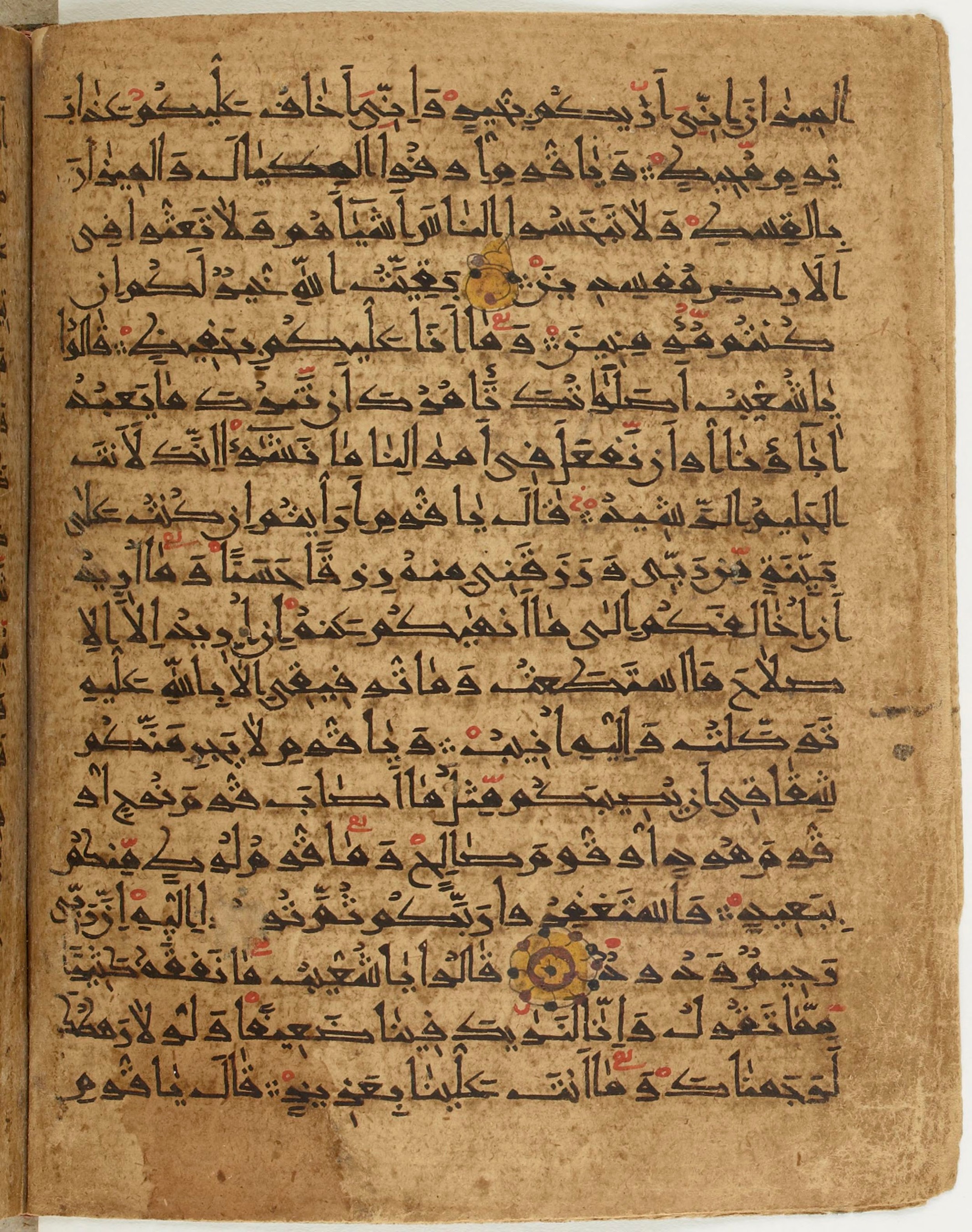 BNF Arabe 6430, in Naskh (NS 1) script, showing Surah 11:89 from 10th Century AD found in Unknown, currently housed at Bibliothèque nationale de France, Paris