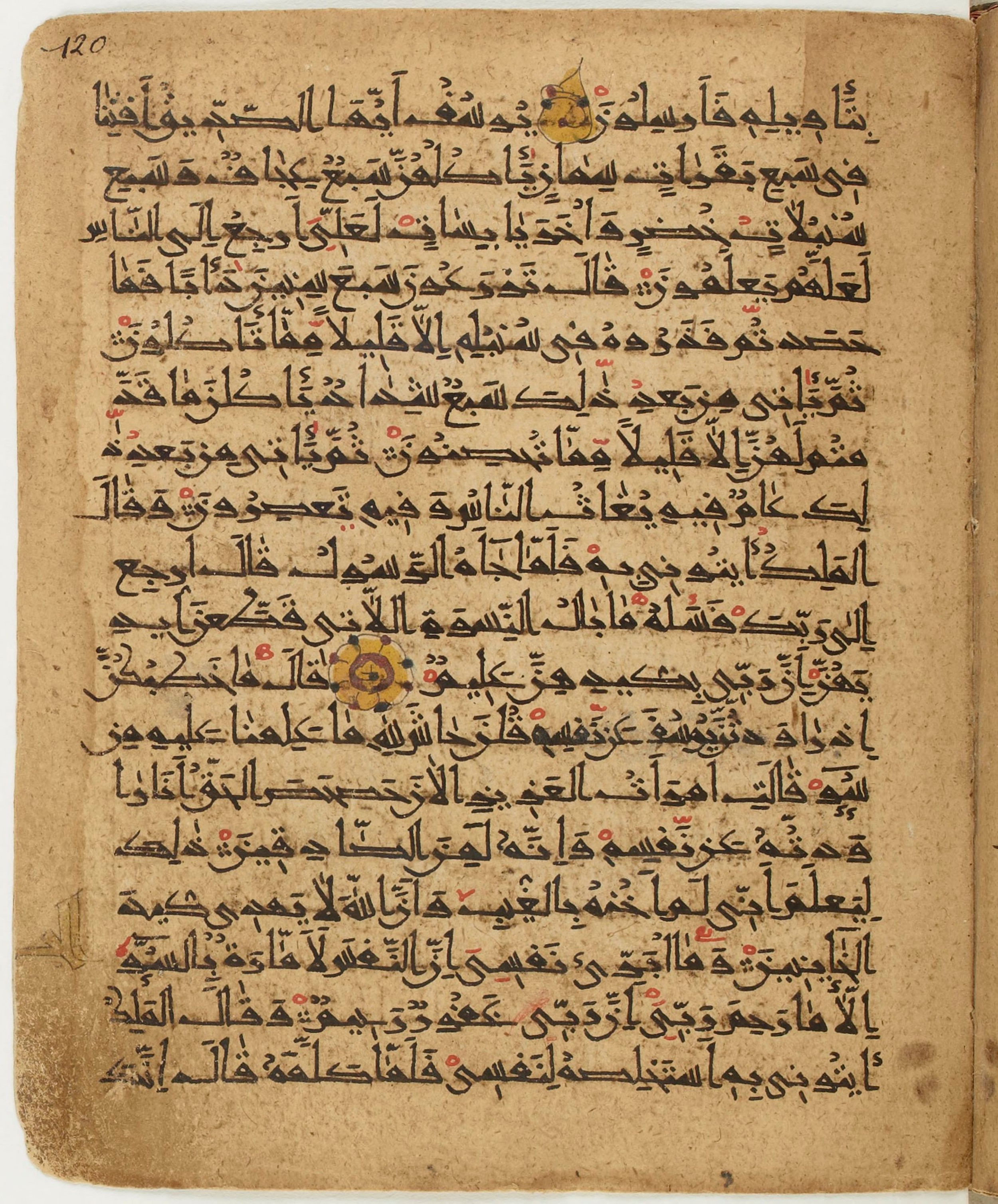 BNF Arabe 6430, in Naskh (NS 1) script, showing Surah 12:49 from 10th Century AD found in Unknown, currently housed at Bibliothèque nationale de France, Paris