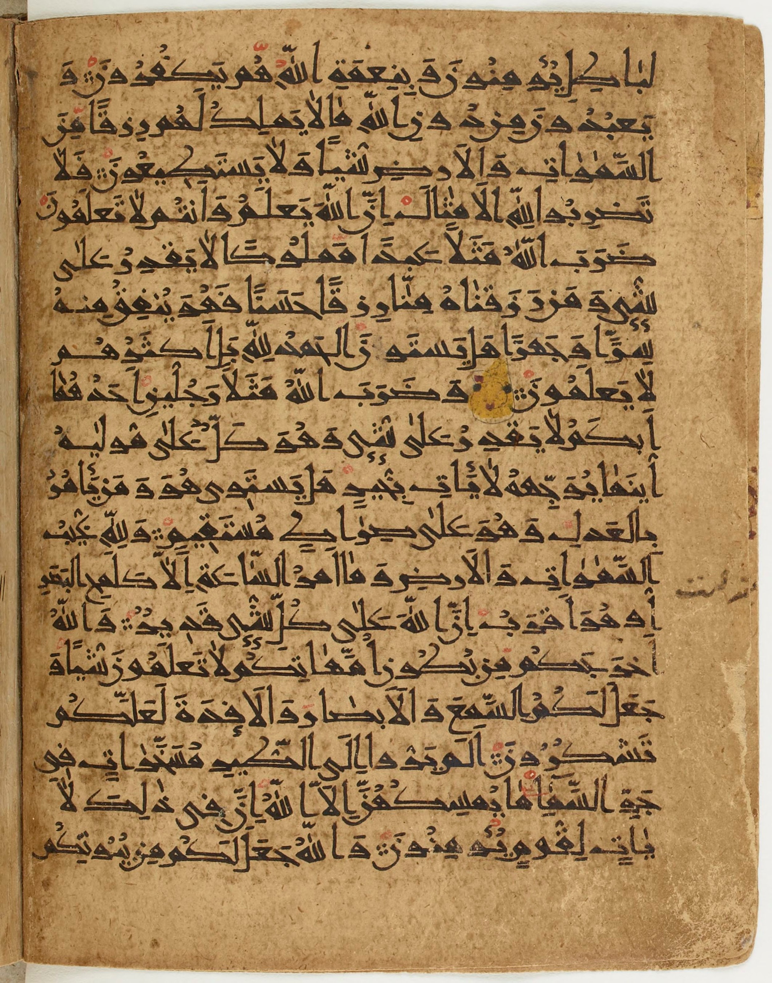 BNF Arabe 6430, in Naskh (NS 1) script, showing Surah 16:73 from 10th Century AD found in Unknown, currently housed at Bibliothèque nationale de France, Paris