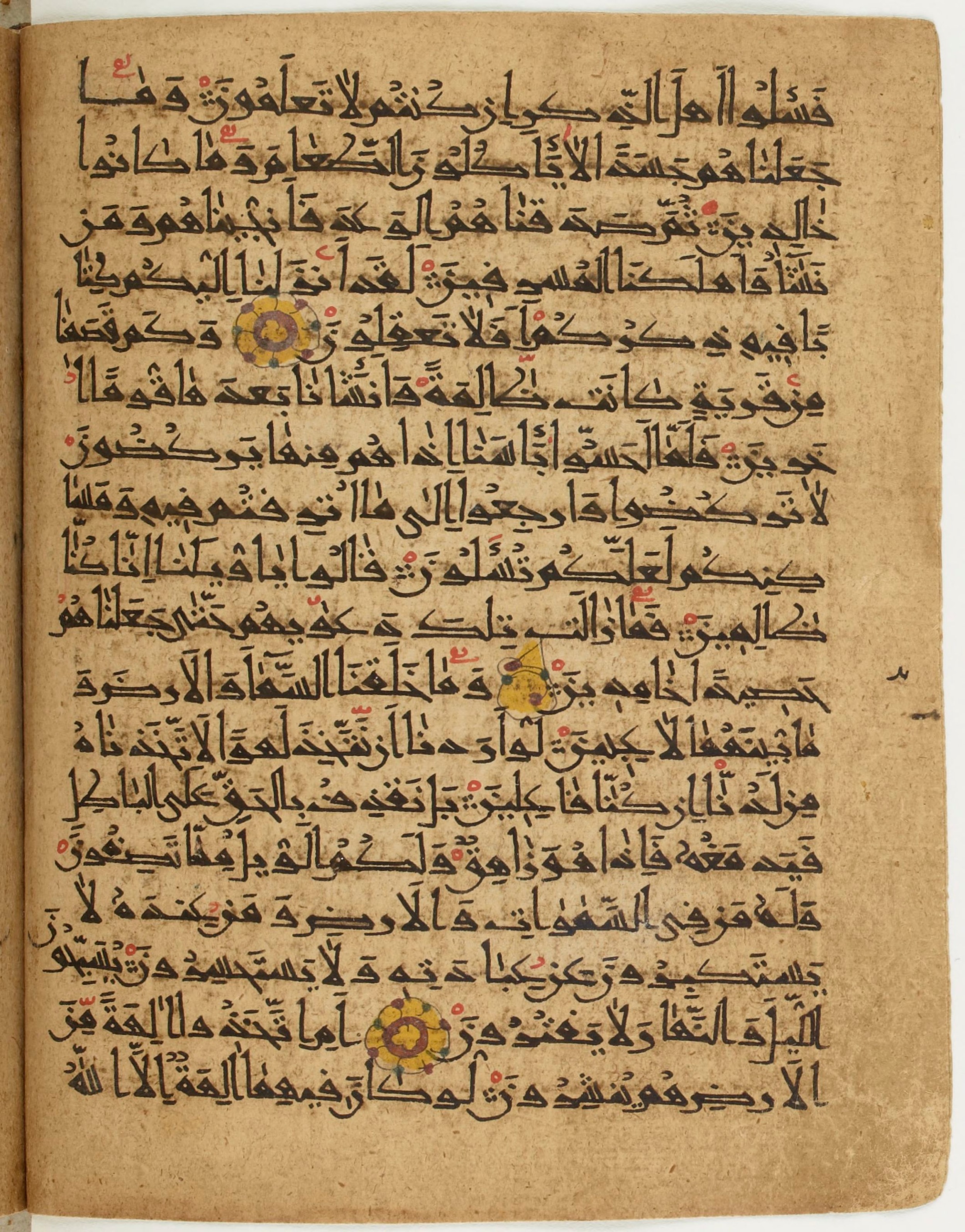 BNF Arabe 6430, in Naskh (NS 1) script, showing Surah 21:8 from 10th Century AD found in Unknown, currently housed at Bibliothèque nationale de France, Paris