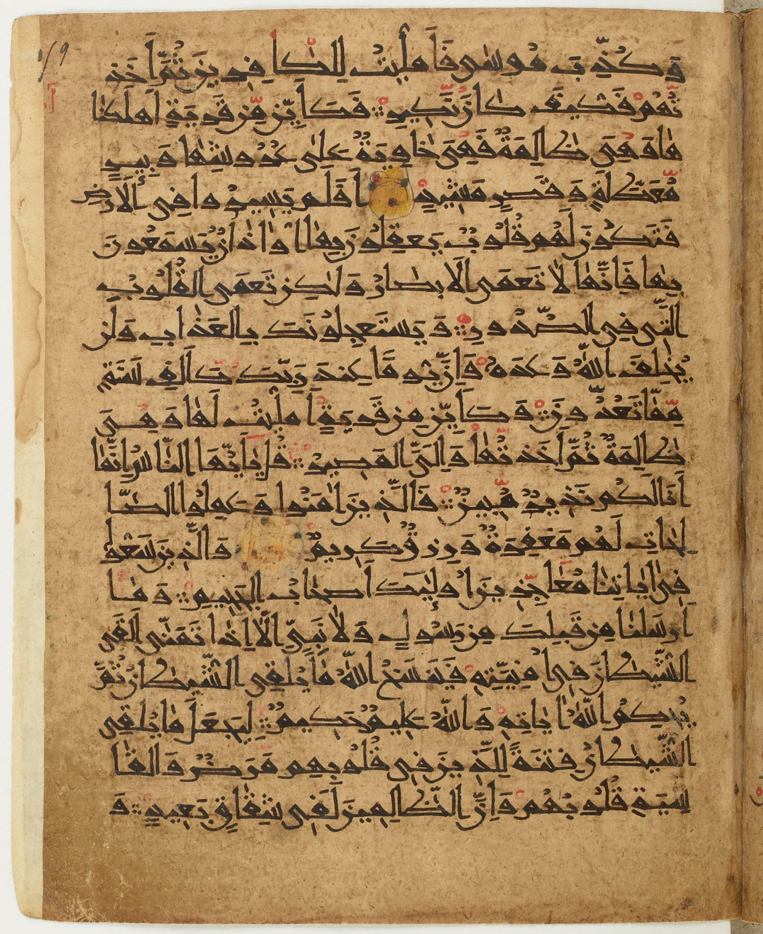 BNF Arabe 6430, in Naskh (NS 1) script, showing Surah 22:49 from 10th Century AD found in Unknown, currently housed at Bibliothèque nationale de France, Paris