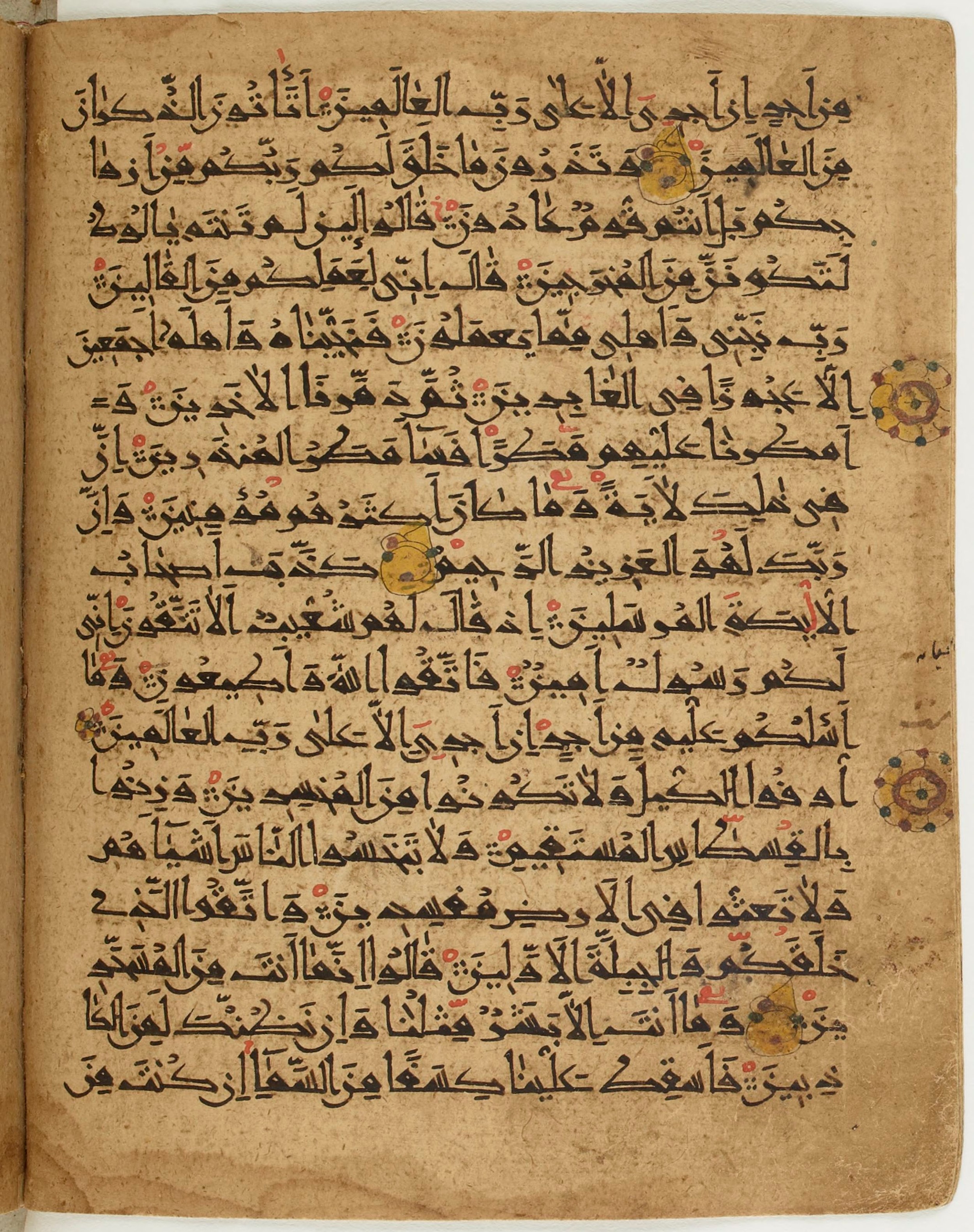 BNF Arabe 6430, in Naskh (NS 1) script, showing Surah 26:175 from 10th Century AD found in Unknown, currently housed at Bibliothèque nationale de France, Paris