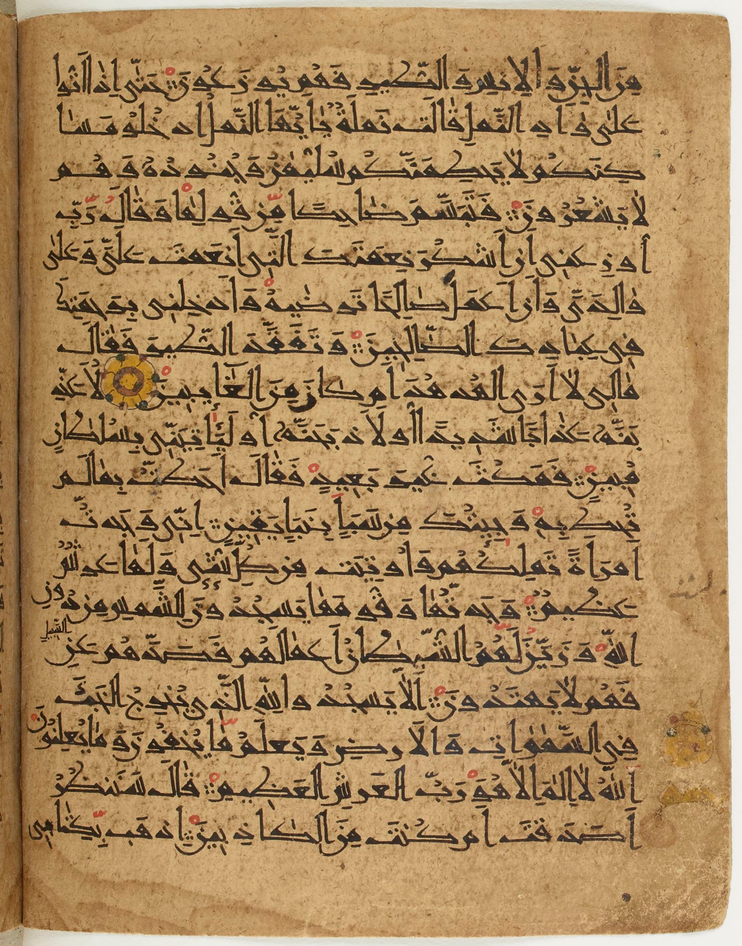 BNF Arabe 6430, in Naskh (NS 1) script, showing Surah 27:21 from 10th Century AD found in Unknown, currently housed at Bibliothèque nationale de France, Paris