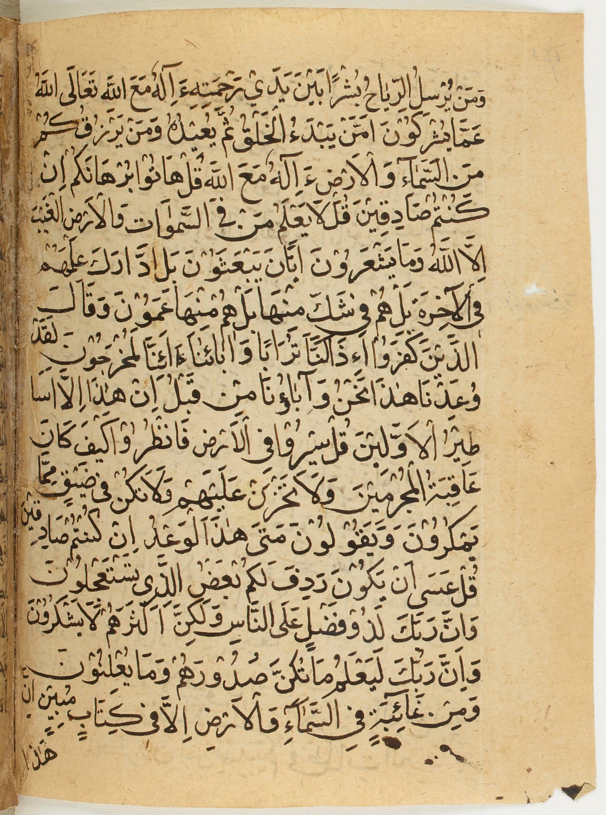 BNF Arabe 6430, in Naskh (NS 1) script, showing Surah 27:71 from 10th Century AD found in Unknown, currently housed at Bibliothèque nationale de France, Paris
