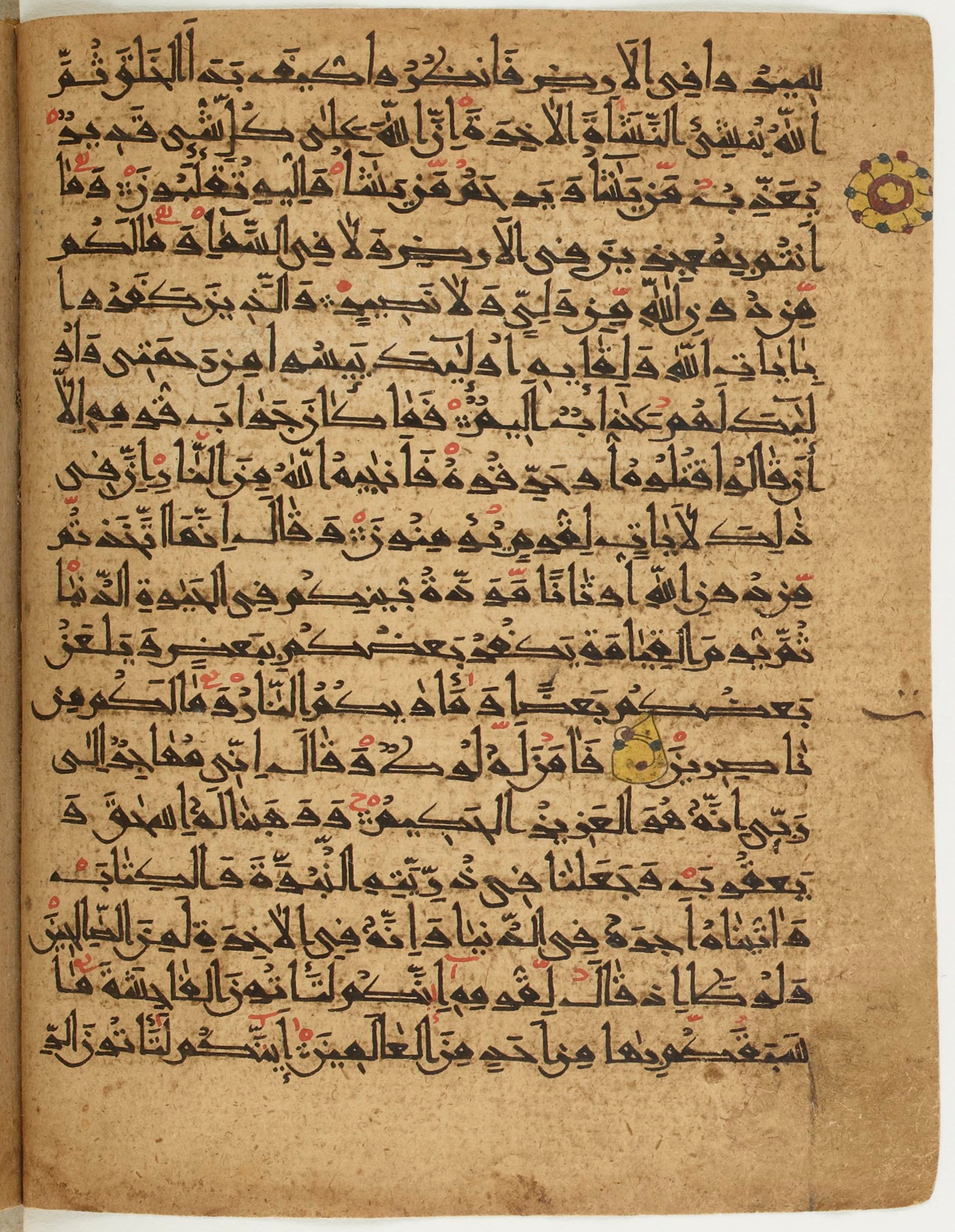 BNF Arabe 6430, in Naskh (NS 1) script, showing Surah 29:21 from 10th Century AD found in Unknown, currently housed at Bibliothèque nationale de France, Paris