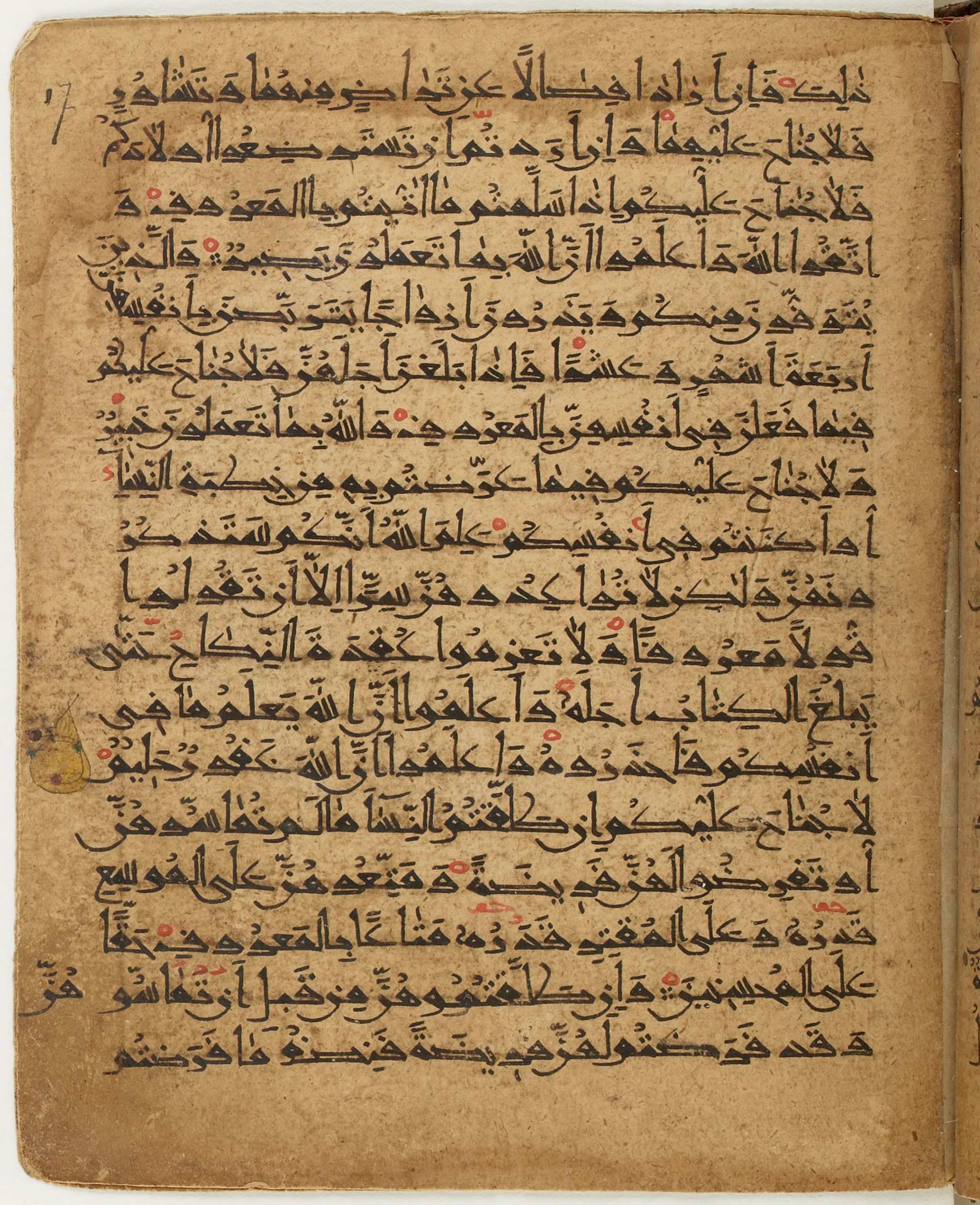 BNF Arabe 6430 (Scan 1), in Naskh (NS 1) script, showing Surah 2:237 from 10th Century AD found in Unknown, currently housed at Bibliothèque nationale de France, Paris
