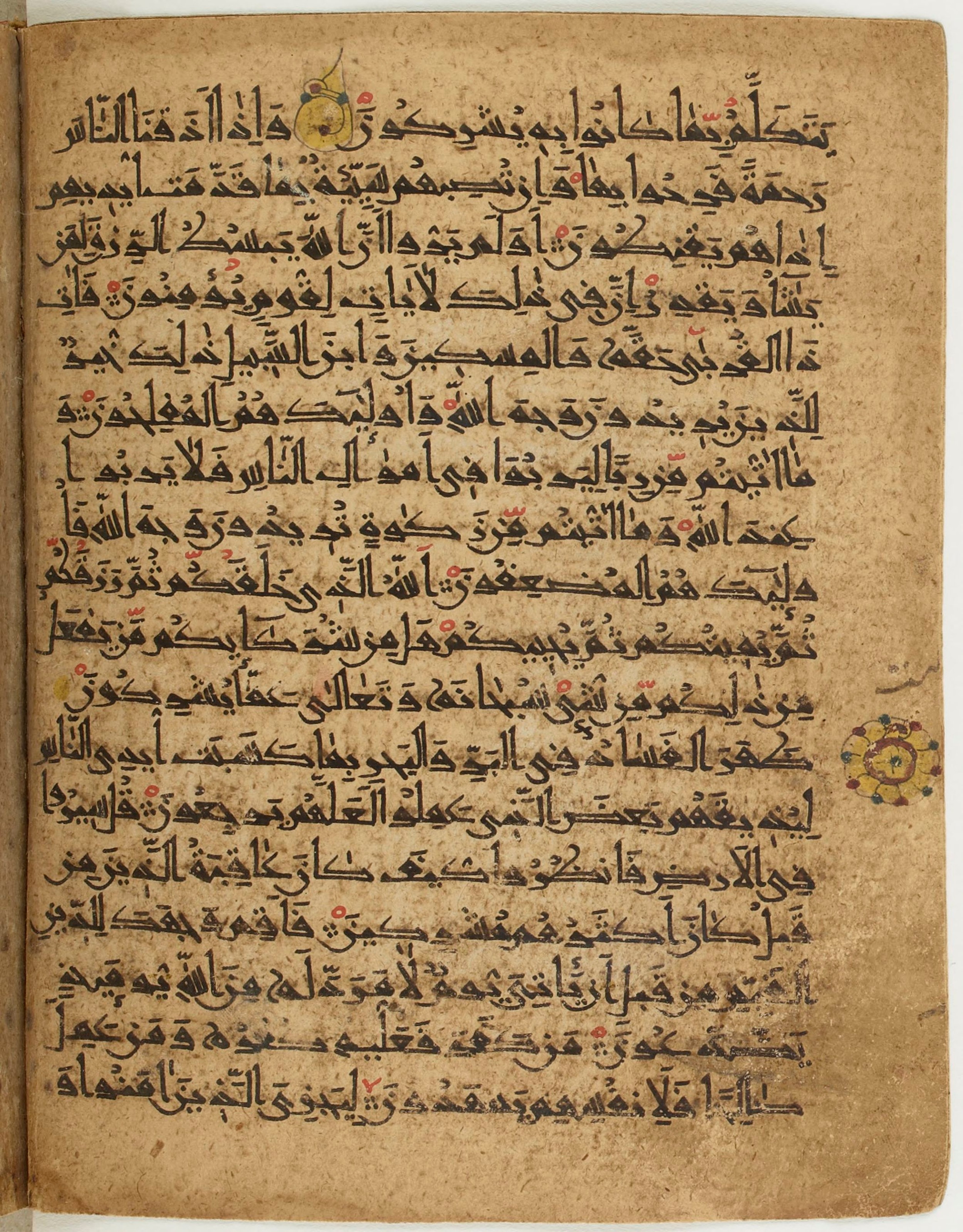 BNF Arabe 6430, in Naskh (NS 1) script, showing Surah 30:40 from 10th Century AD found in Unknown, currently housed at Bibliothèque nationale de France, Paris