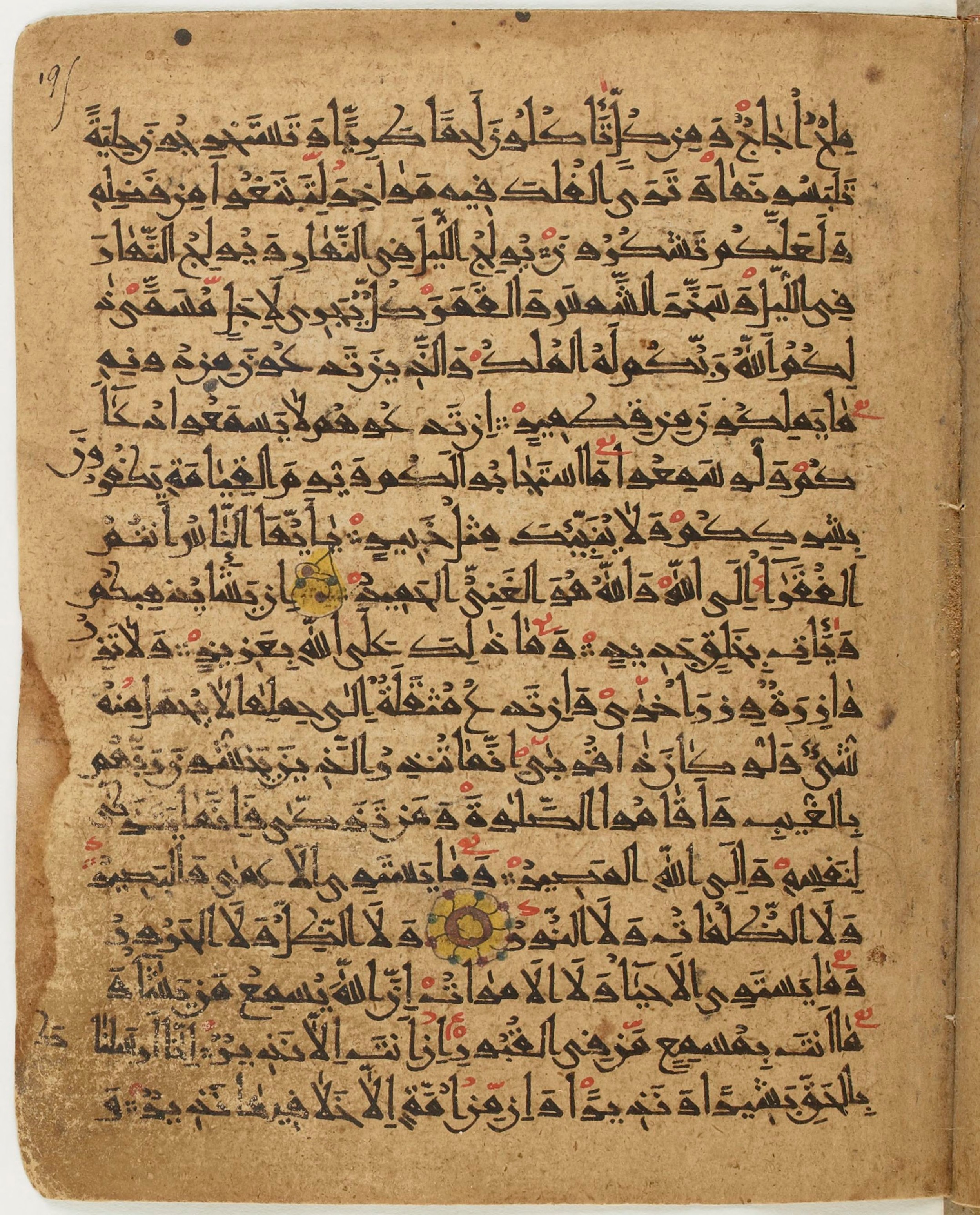 BNF Arabe 6430, in Naskh (NS 1) script, showing Surah 35:21 from 10th Century AD found in Unknown, currently housed at Bibliothèque nationale de France, Paris