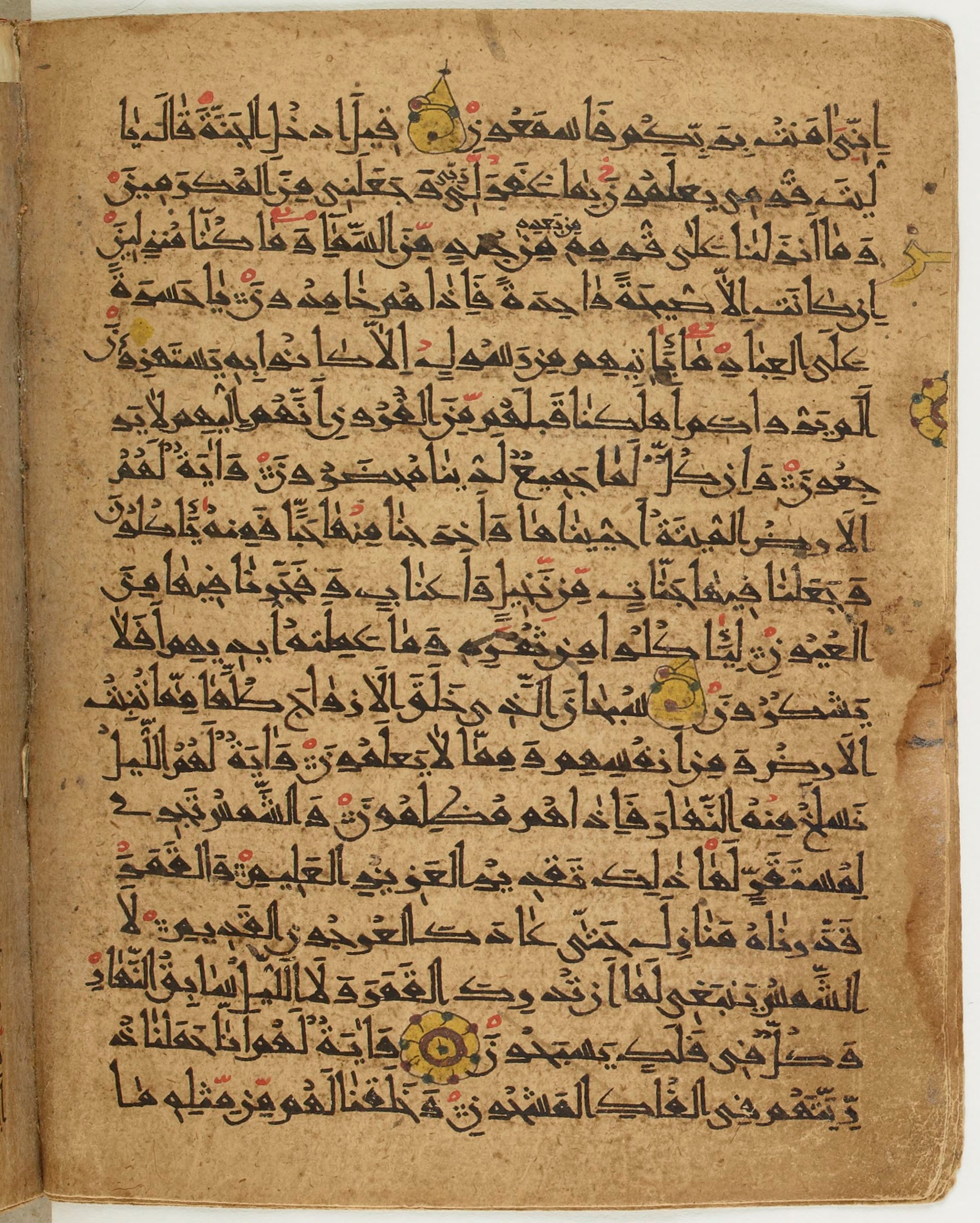 BNF Arabe 6430, in Naskh (NS 1) script, showing Surah 36:32 from 10th Century AD found in Unknown, currently housed at Bibliothèque nationale de France, Paris