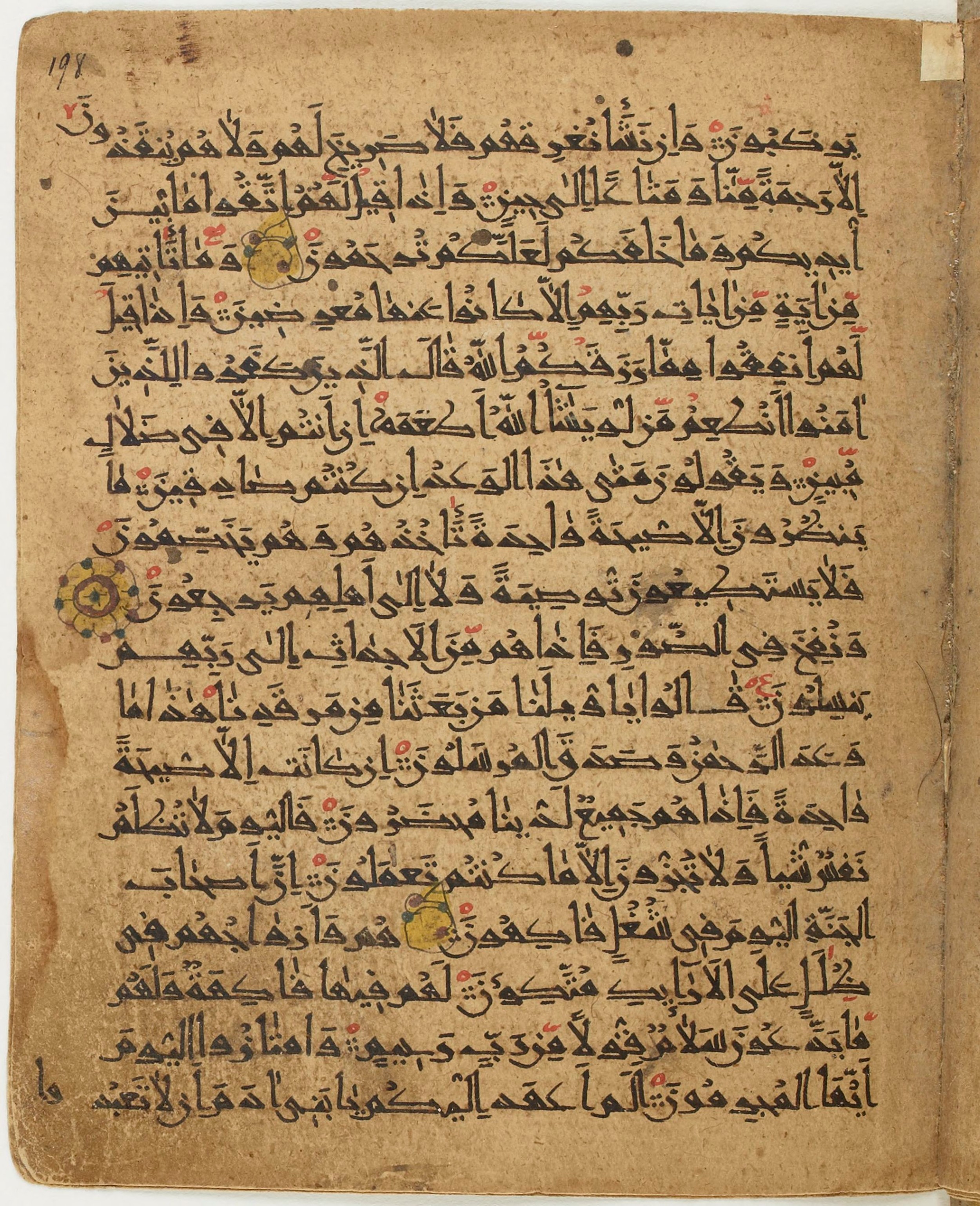 BNF Arabe 6430, in Naskh (NS 1) script, showing Surah 36:49 from 10th Century AD found in Unknown, currently housed at Bibliothèque nationale de France, Paris