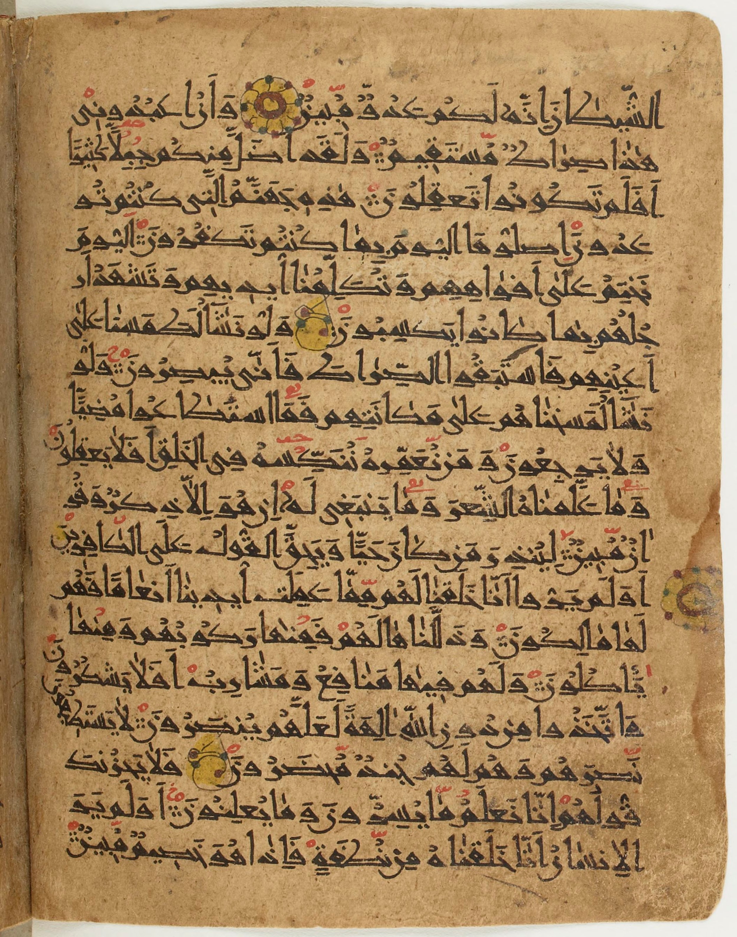 BNF Arabe 6430, in Naskh (NS 1) script, showing Surah 36:76 from 10th Century AD found in Unknown, currently housed at Bibliothèque nationale de France, Paris