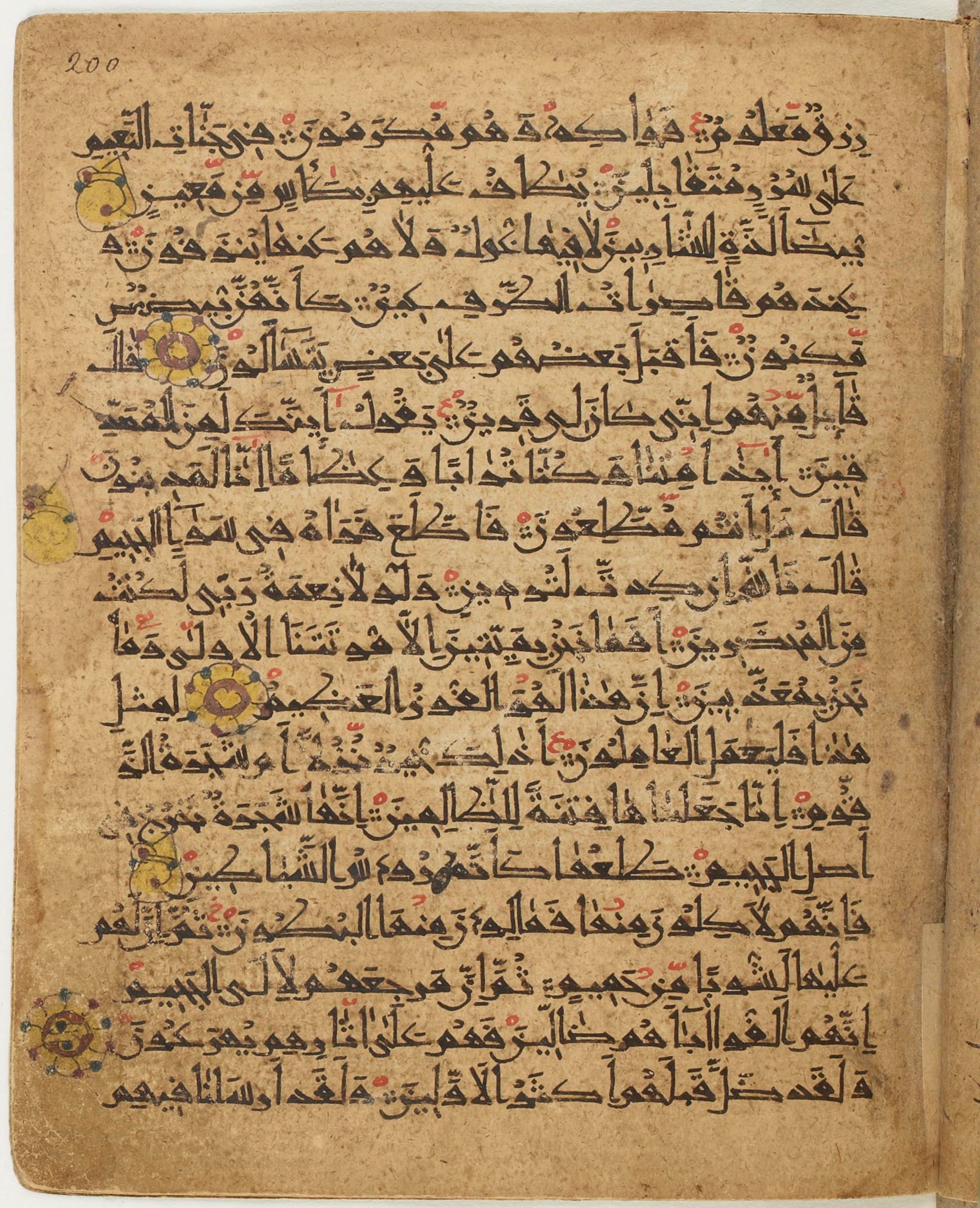 BNF Arabe 6430, in Naskh (NS 1) script, showing Surah 37:49 from 10th Century AD found in Unknown, currently housed at Bibliothèque nationale de France, Paris