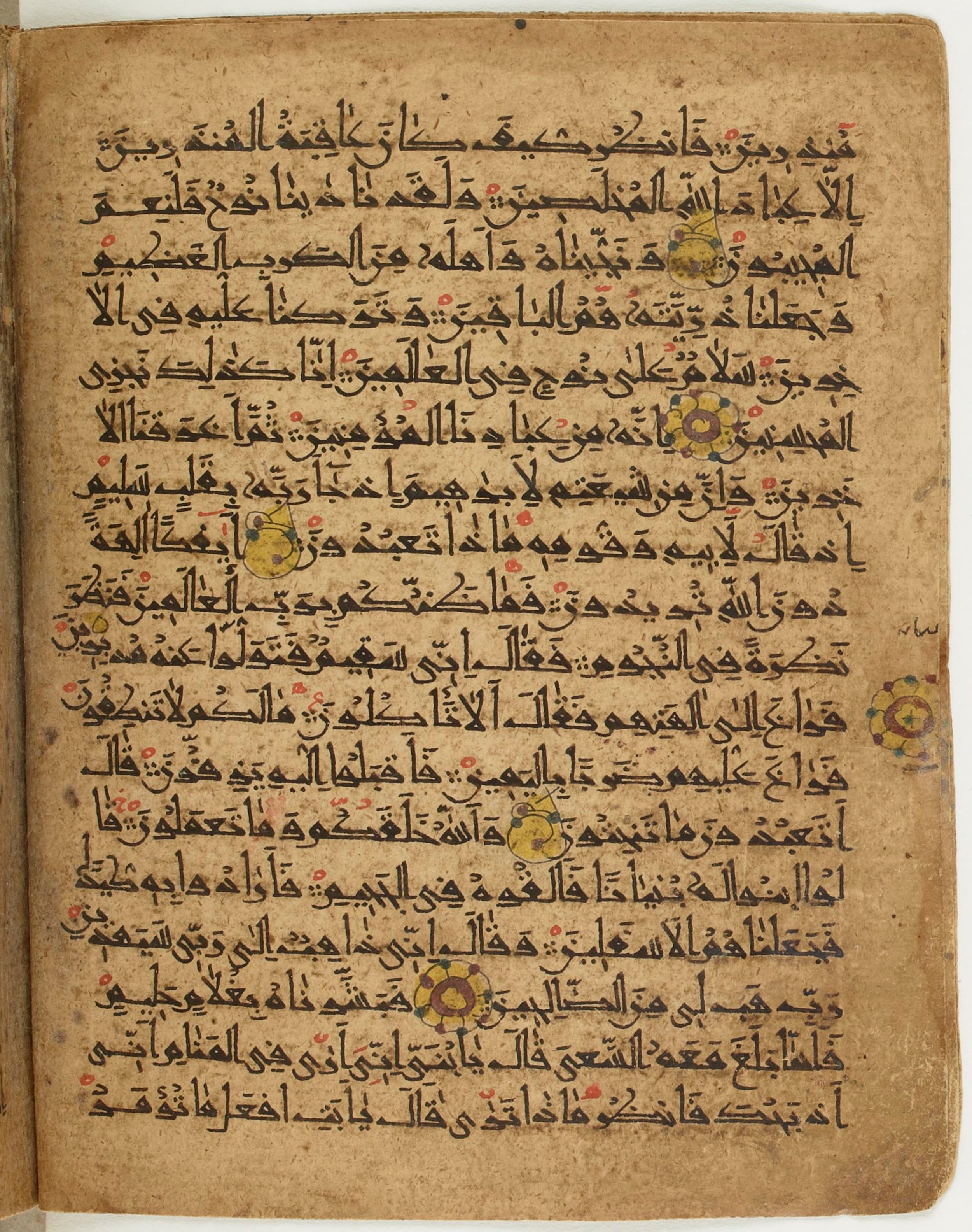 BNF Arabe 6430, in Naskh (NS 1) script, showing Surah 37:76 from 10th Century AD found in Unknown, currently housed at Bibliothèque nationale de France, Paris