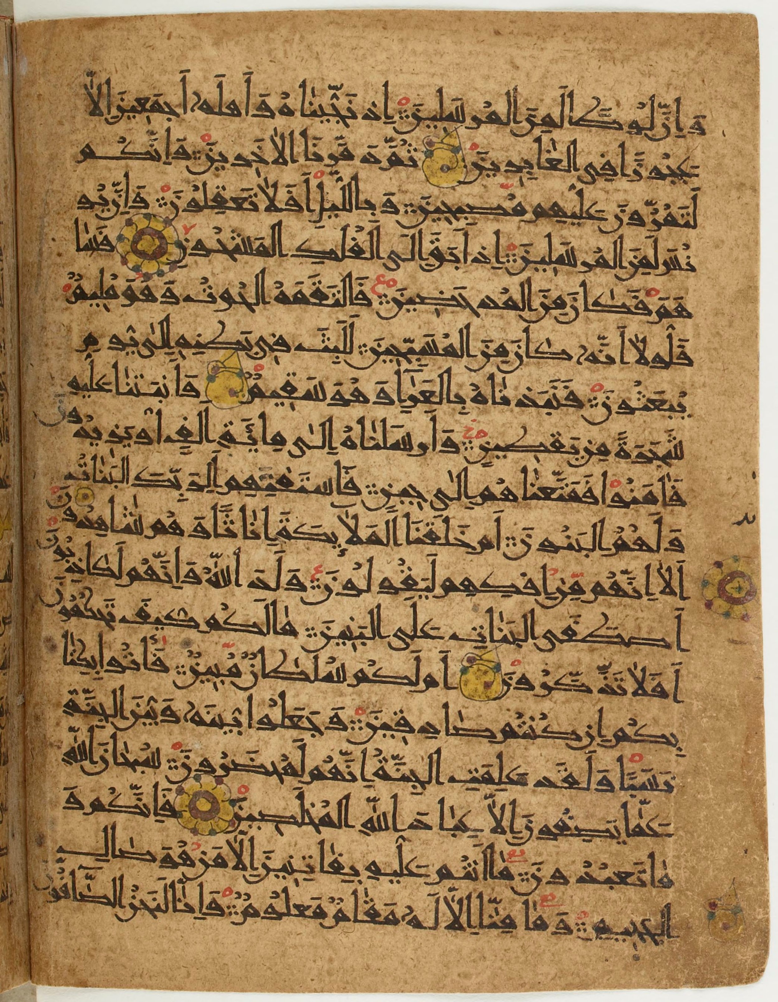 BNF Arabe 6430, in Naskh (NS 1) script, showing Surah 37:136 from 10th Century AD found in Unknown, currently housed at Bibliothèque nationale de France, Paris