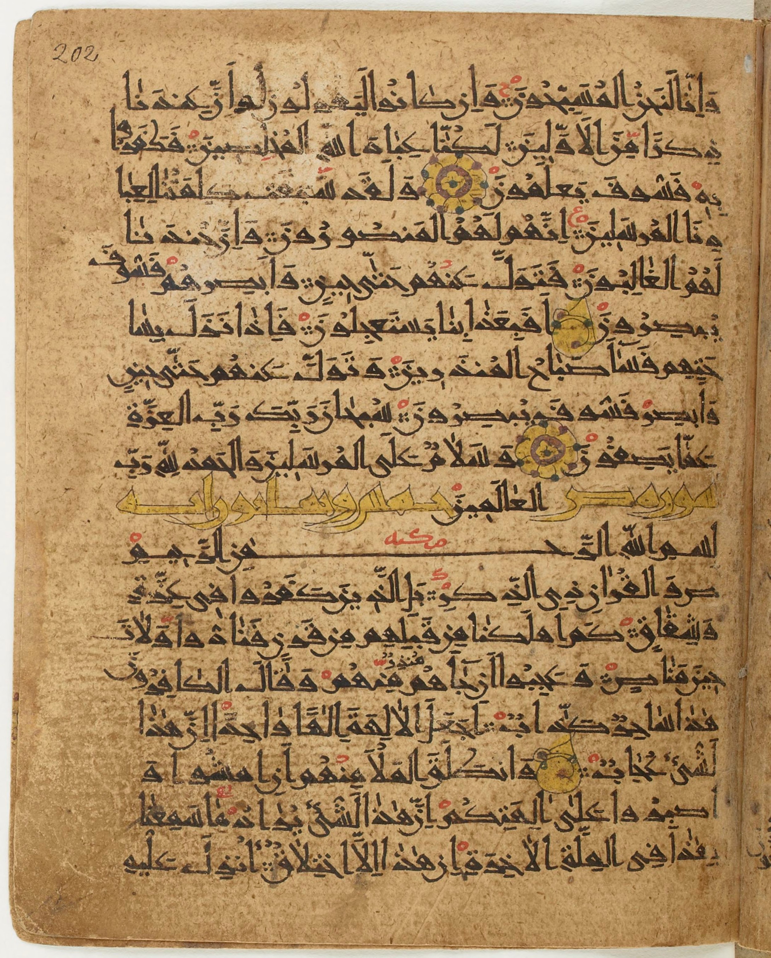 BNF Arabe 6430, in Naskh (NS 1) script, showing Surah 37:175 from 10th Century AD found in Unknown, currently housed at Bibliothèque nationale de France, Paris