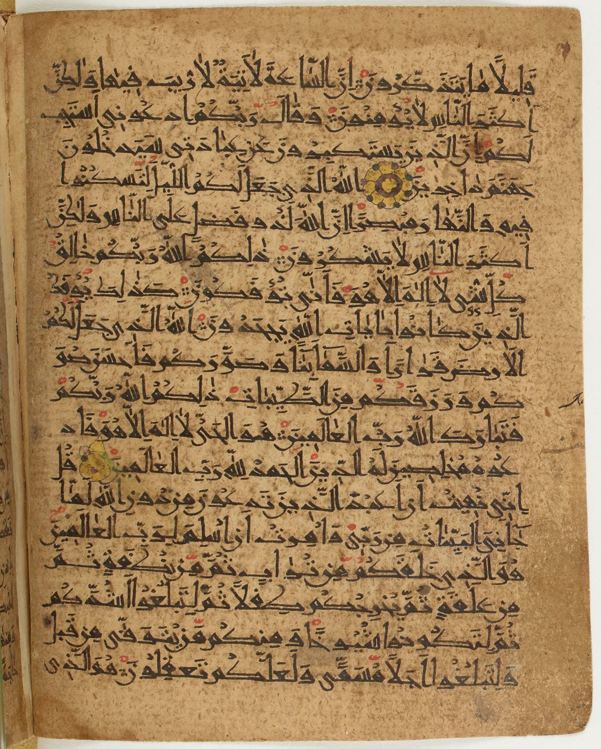 BNF Arabe 6430, in Naskh (NS 1) script, showing Surah 40:64 from 10th Century AD found in Unknown, currently housed at Bibliothèque nationale de France, Paris