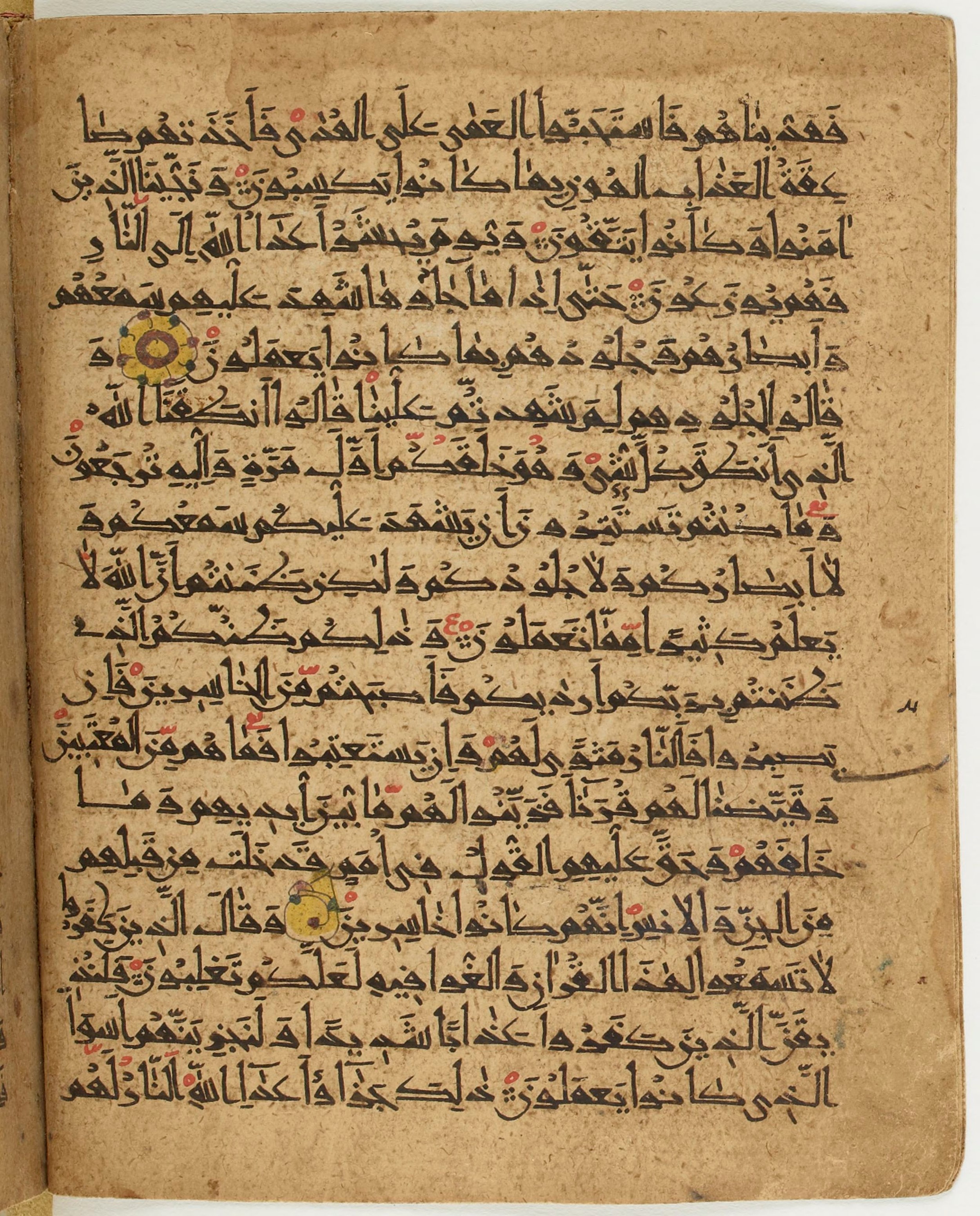 BNF Arabe 6430, in Naskh (NS 1) script, showing Surah 41:21 from 10th Century AD found in Unknown, currently housed at Bibliothèque nationale de France, Paris