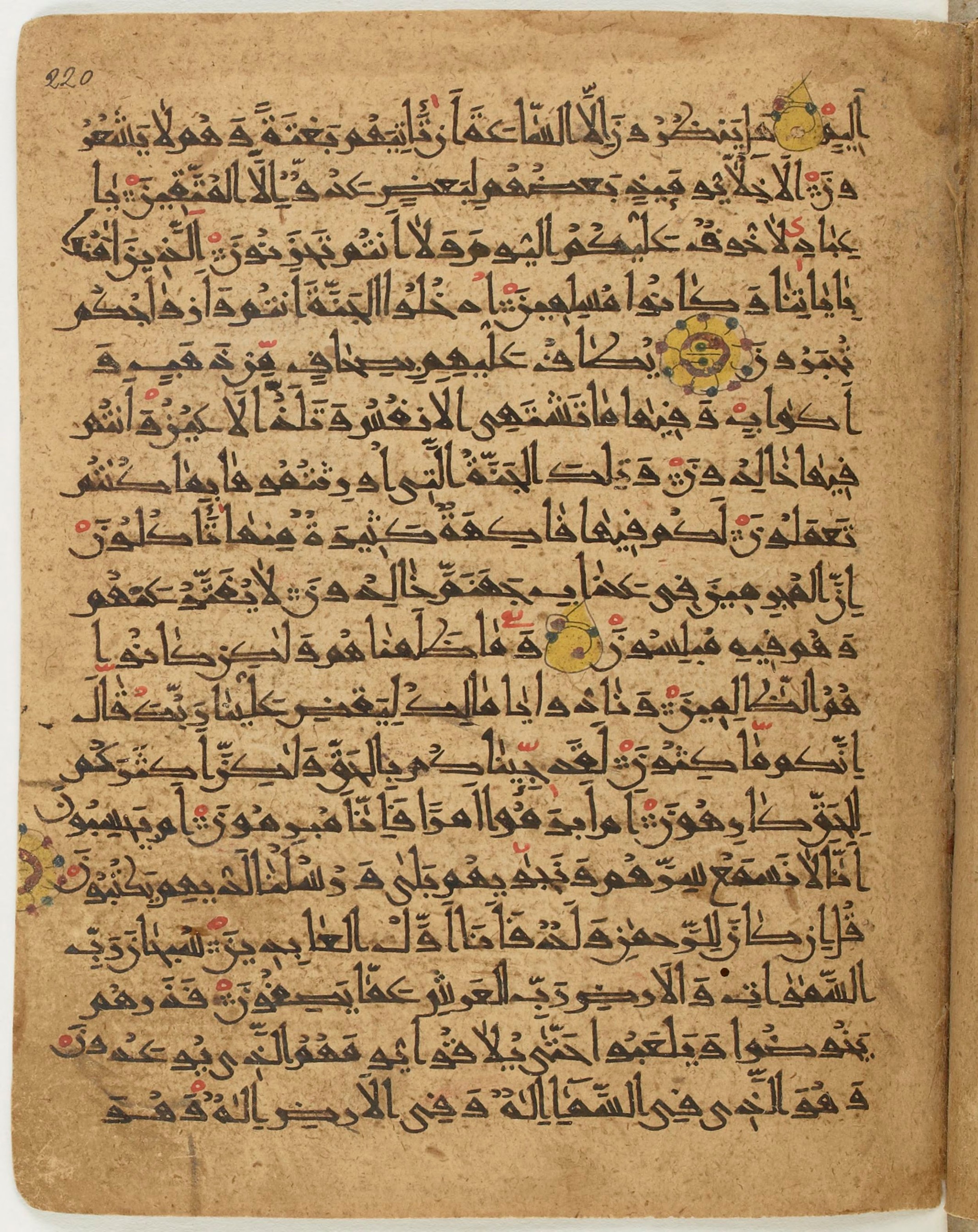 BNF Arabe 6430, in Naskh (NS 1) script, showing Surah 43:71 from 10th Century AD found in Unknown, currently housed at Bibliothèque nationale de France, Paris
