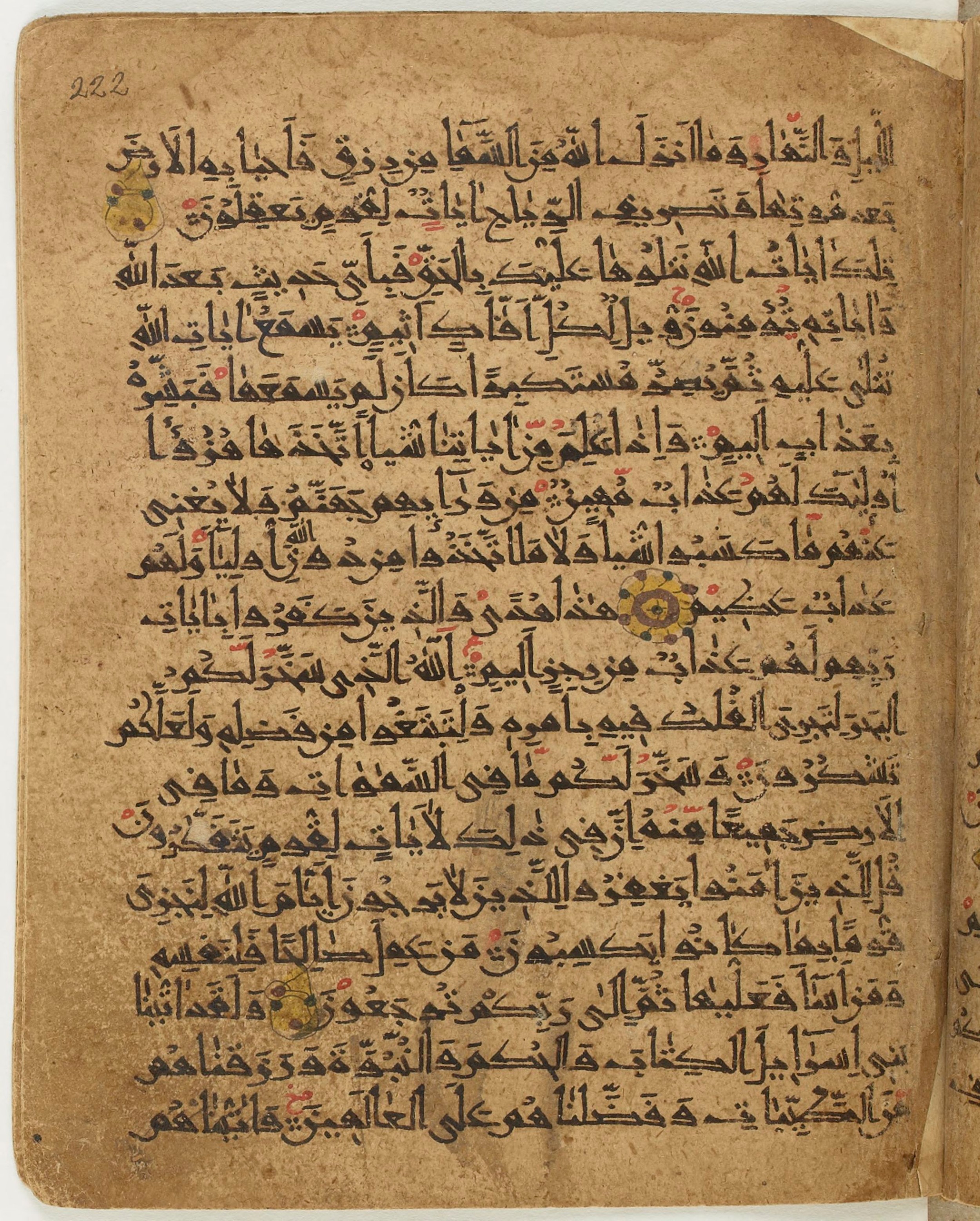BNF Arabe 6430, in Naskh (NS 1) script, showing Surah 45:13 from 10th Century AD found in Unknown, currently housed at Bibliothèque nationale de France, Paris