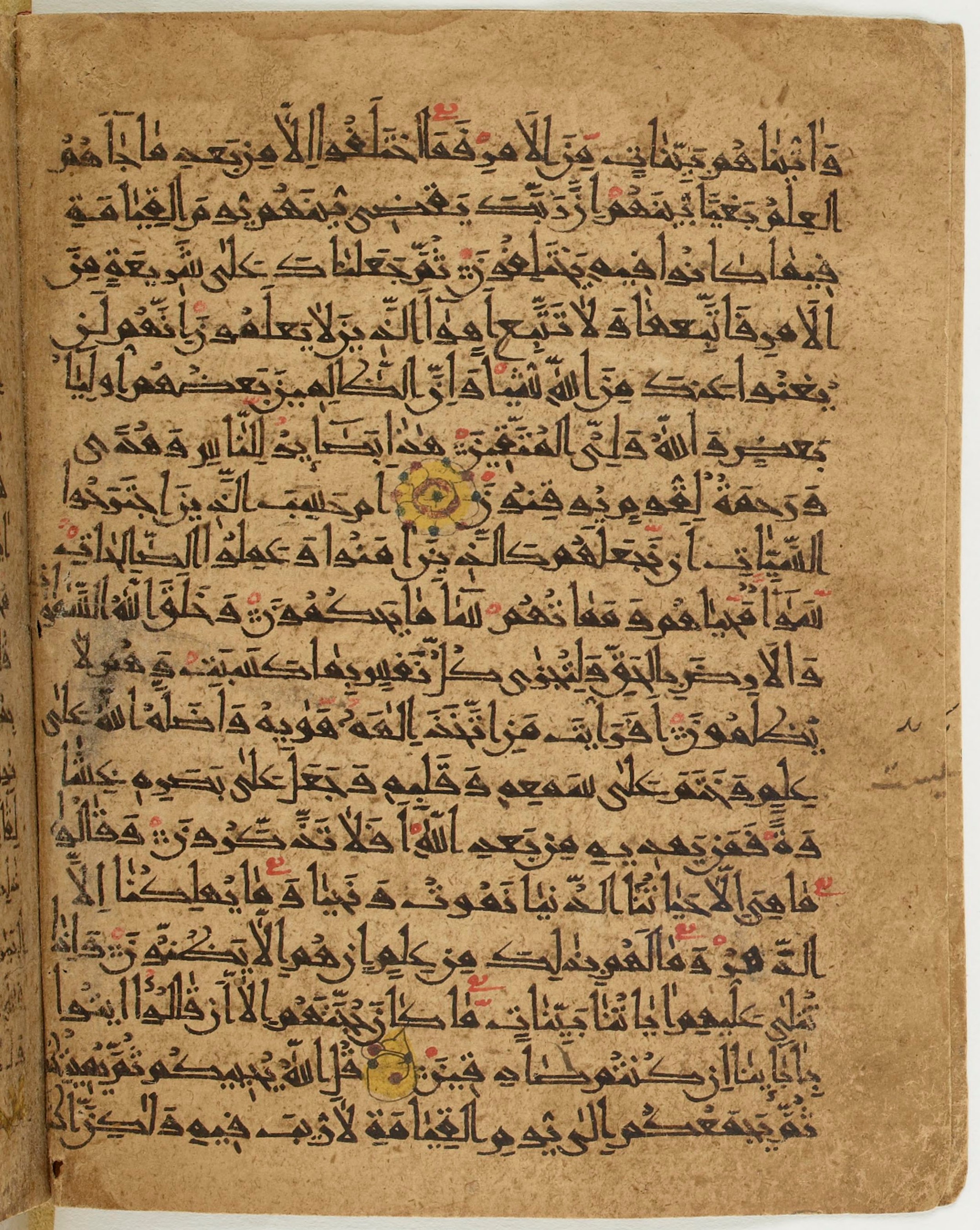 BNF Arabe 6430, in Naskh (NS 1) script, showing Surah 45:23 from 10th Century AD found in Unknown, currently housed at Bibliothèque nationale de France, Paris