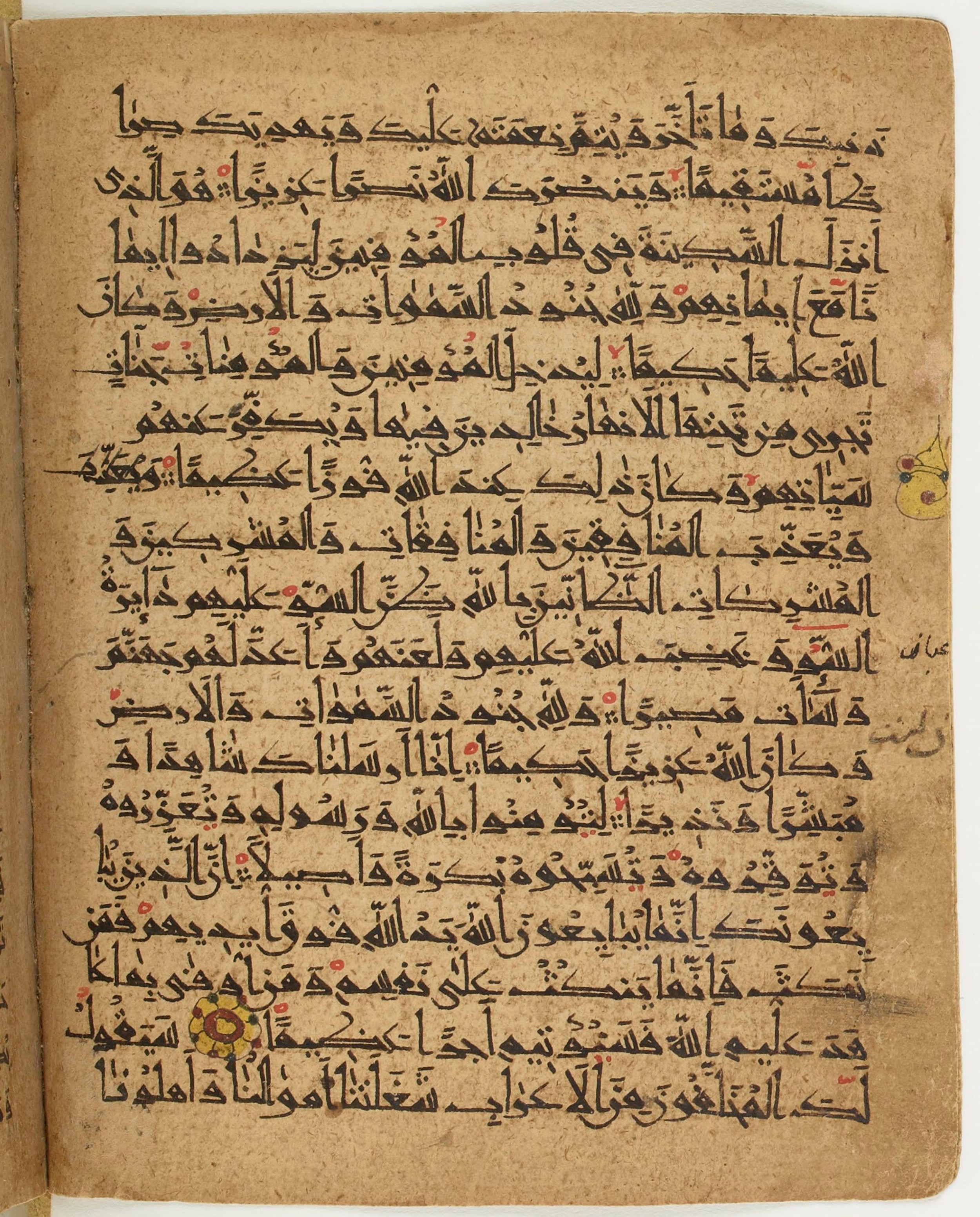 BNF Arabe 6430, in Naskh (NS 1) script, showing Surah 48:3 from 10th Century AD found in Unknown, currently housed at Bibliothèque nationale de France, Paris