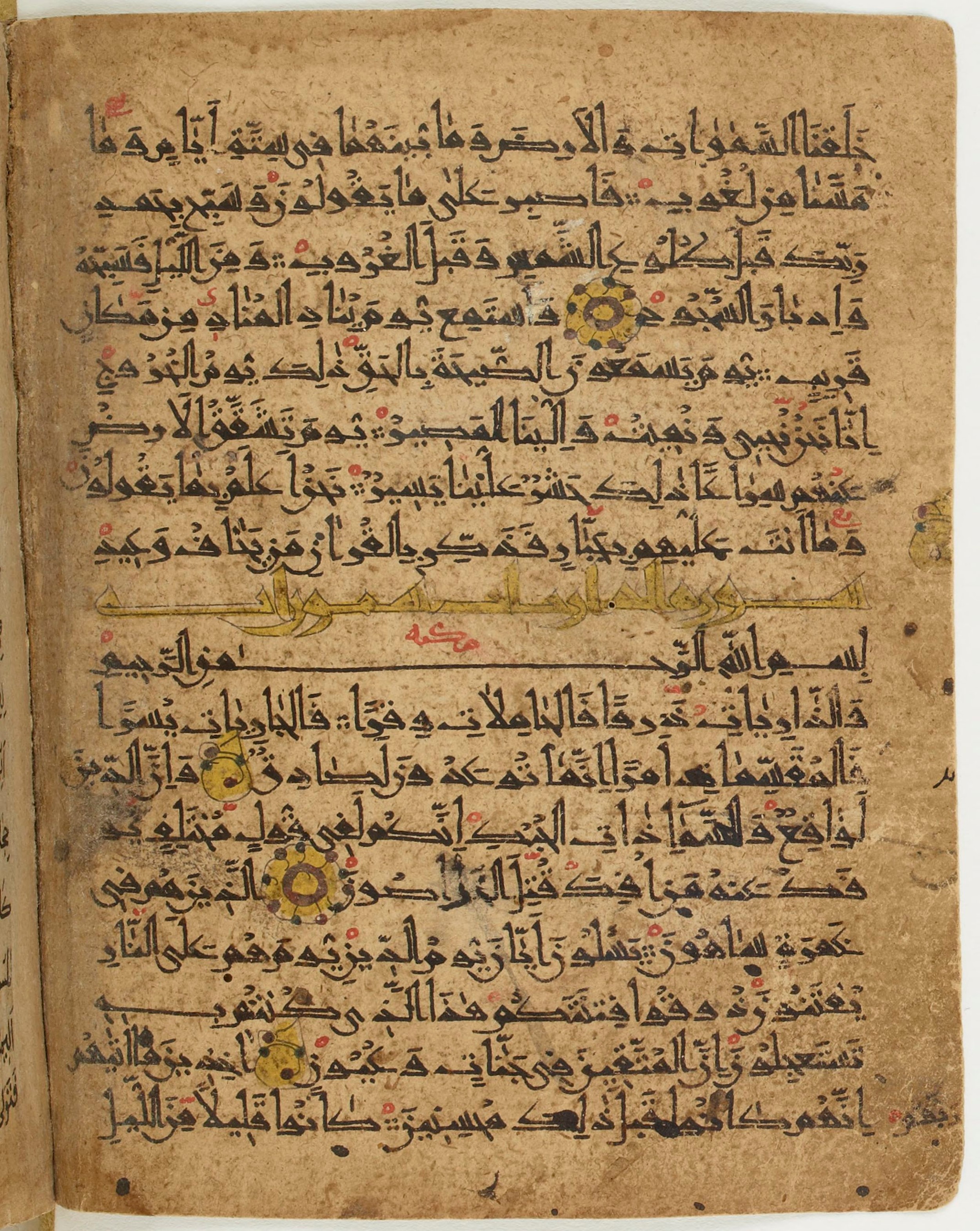 BNF Arabe 6430, in Naskh (NS 1) script, showing Surah 51:13 from 10th Century AD found in Unknown, currently housed at Bibliothèque nationale de France, Paris
