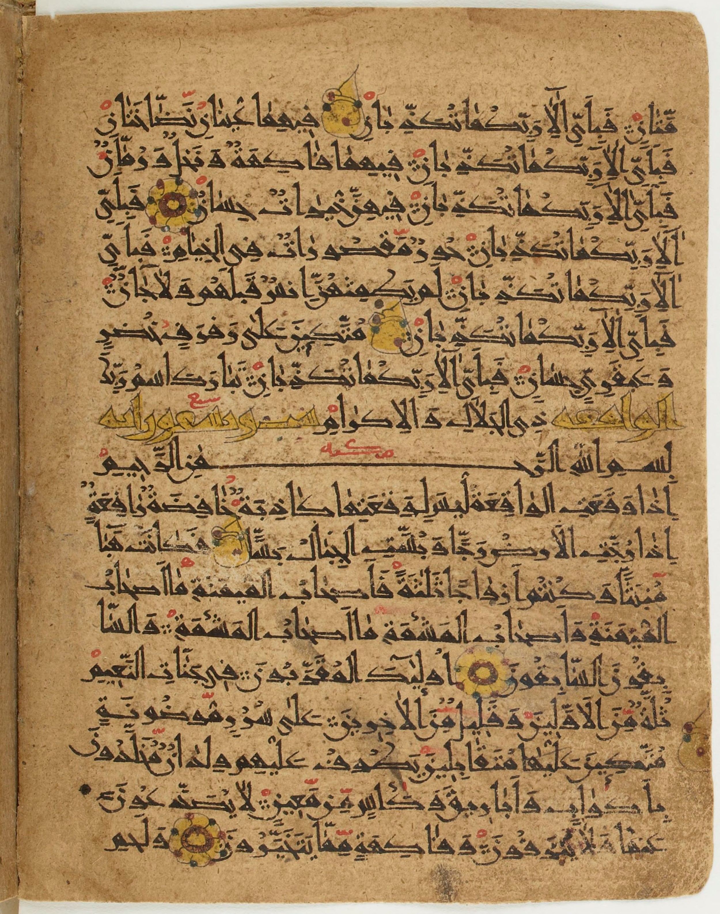 BNF Arabe 6430 (Scan 1), in Naskh (NS 1) script, showing Surah 56:21 from 10th Century AD found in Unknown, currently housed at Bibliothèque nationale de France, Paris