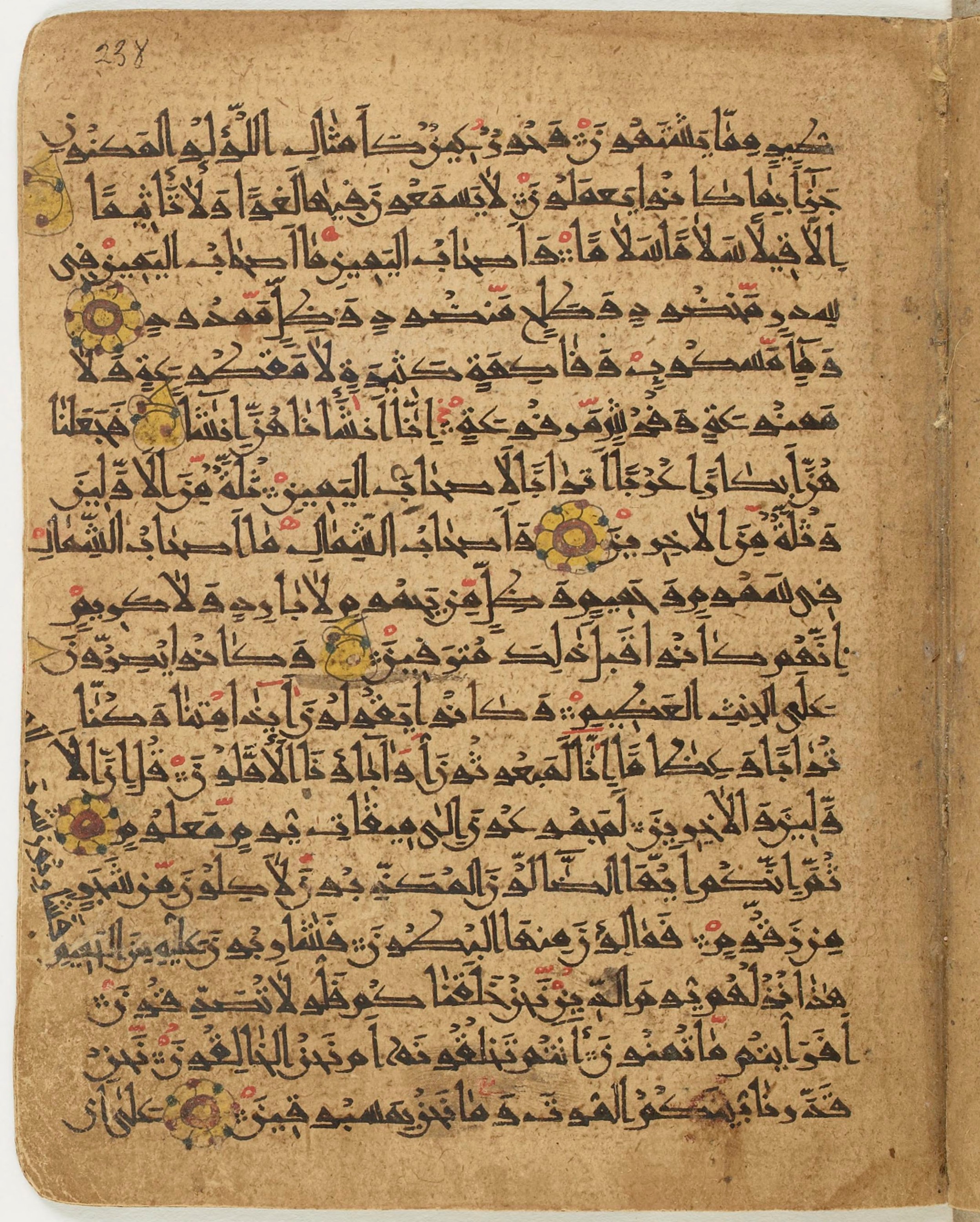 BNF Arabe 6430 (Scan 2), in Naskh (NS 1) script, showing Surah 56:21 from 10th Century AD found in Unknown, currently housed at Bibliothèque nationale de France, Paris