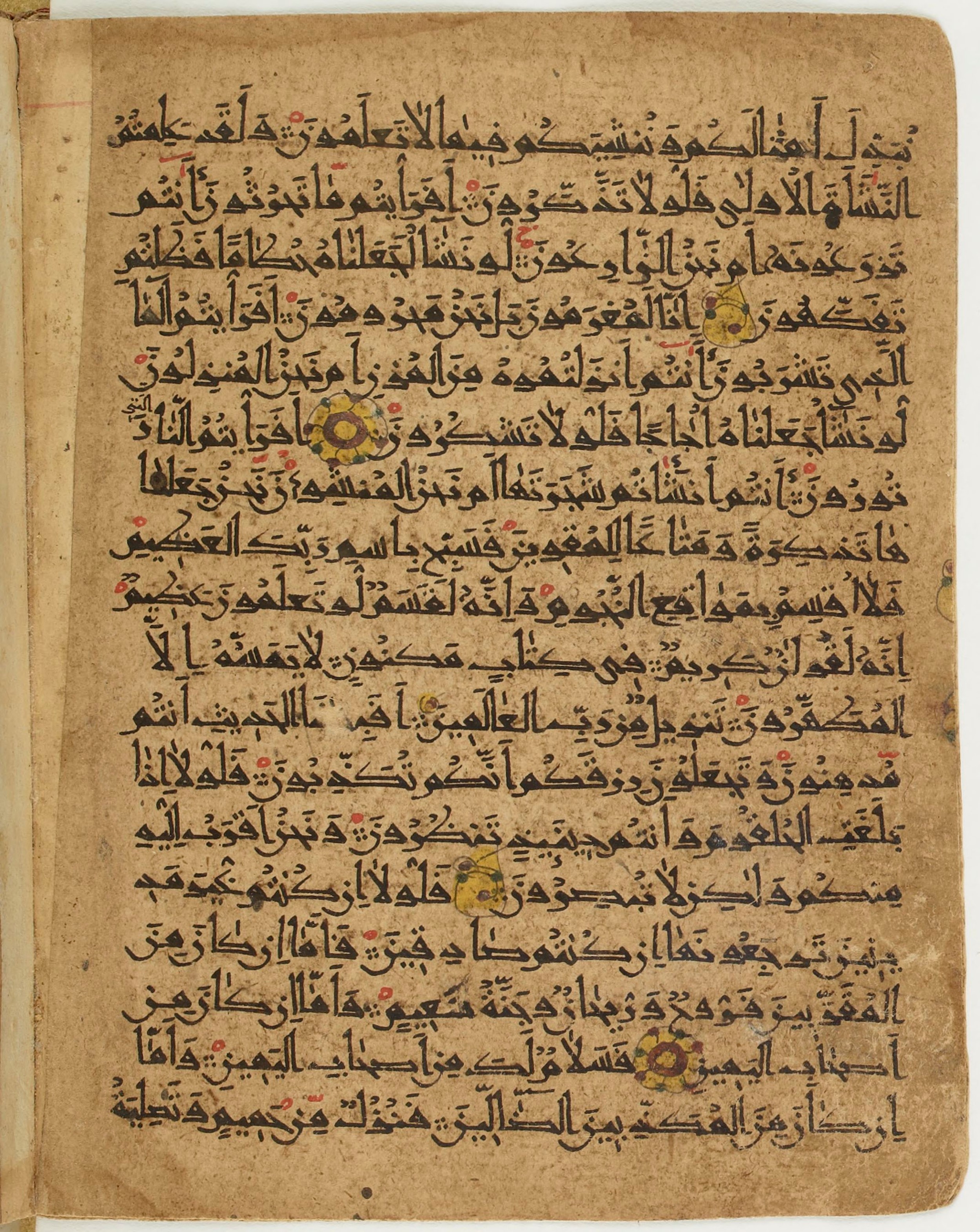 BNF Arabe 6430, in Naskh (NS 1) script, showing Surah 56:76 from 10th Century AD found in Unknown, currently housed at Bibliothèque nationale de France, Paris