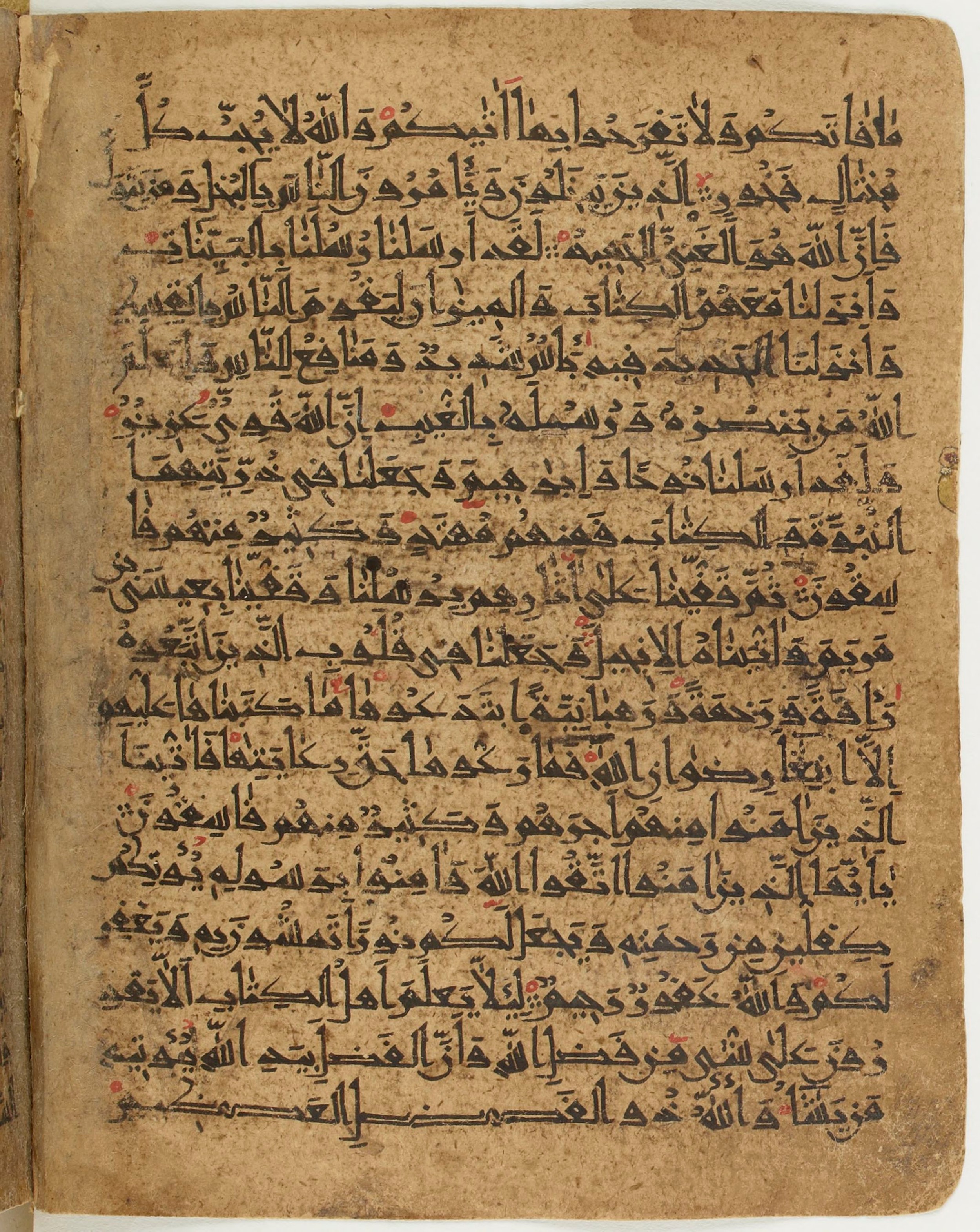BNF Arabe 6430, in Naskh (NS 1) script, showing Surah 57:29 from 10th Century AD found in Unknown, currently housed at Bibliothèque nationale de France, Paris