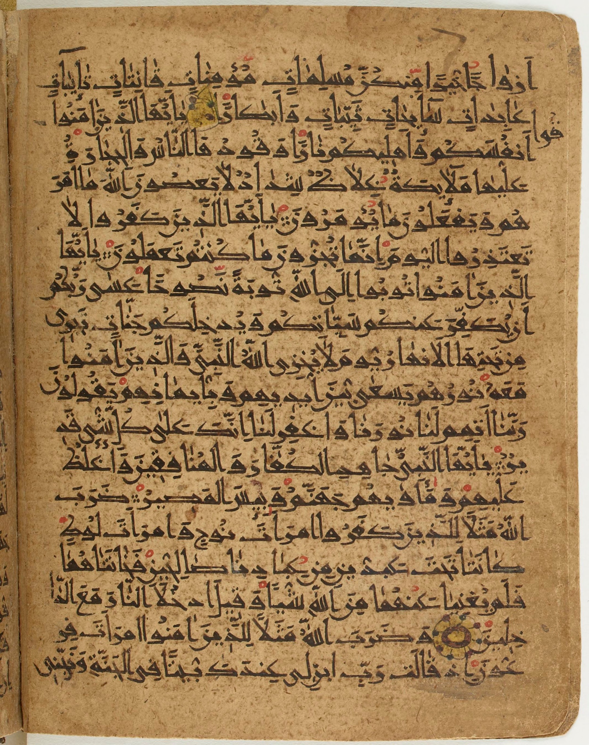BNF Arabe 6430, in Naskh (NS 1) script, showing Surah 66:7 from 10th Century AD found in Unknown, currently housed at Bibliothèque nationale de France, Paris