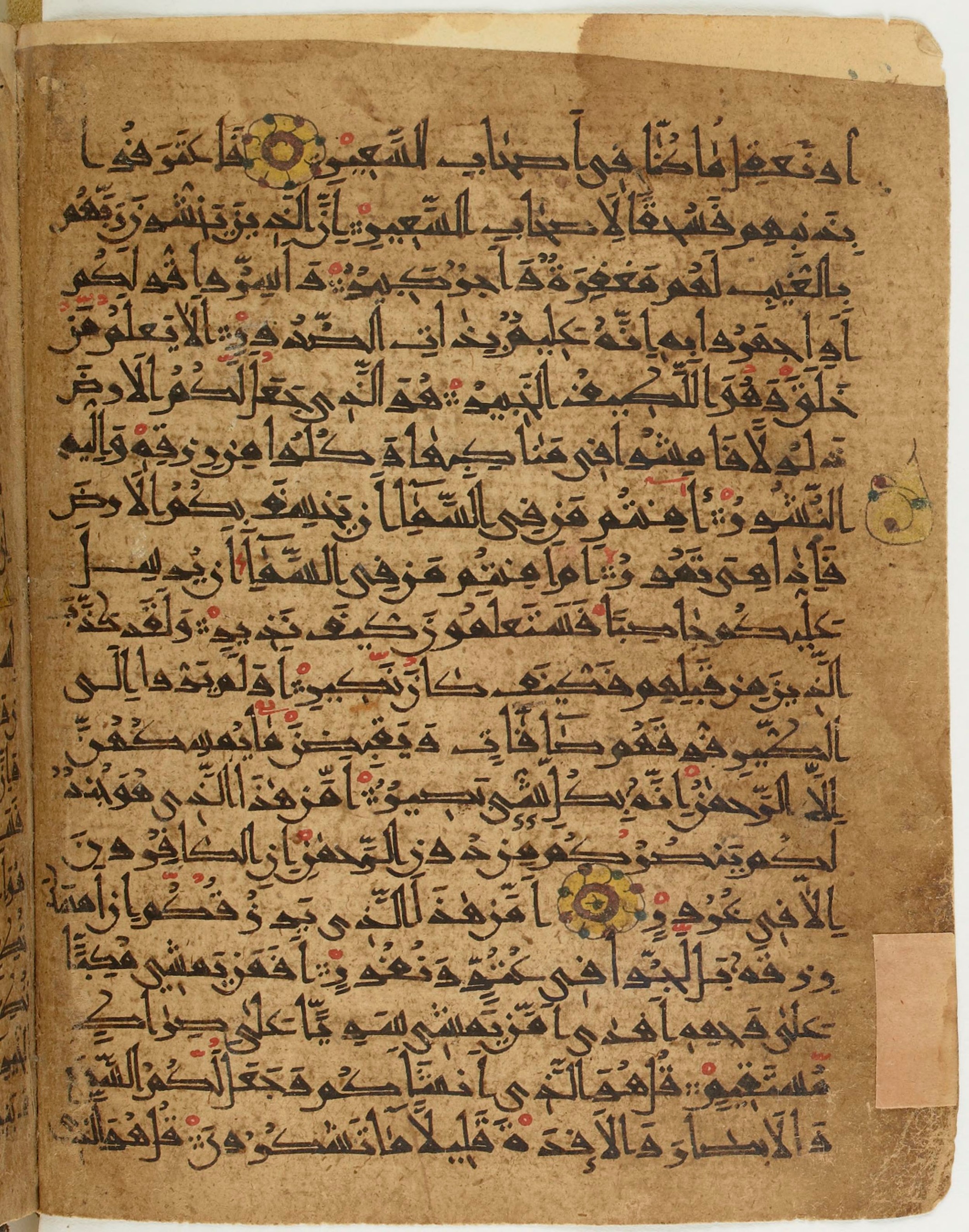 BNF Arabe 6430, in Naskh (NS 1) script, showing Surah 67:21 from 10th Century AD found in Unknown, currently housed at Bibliothèque nationale de France, Paris